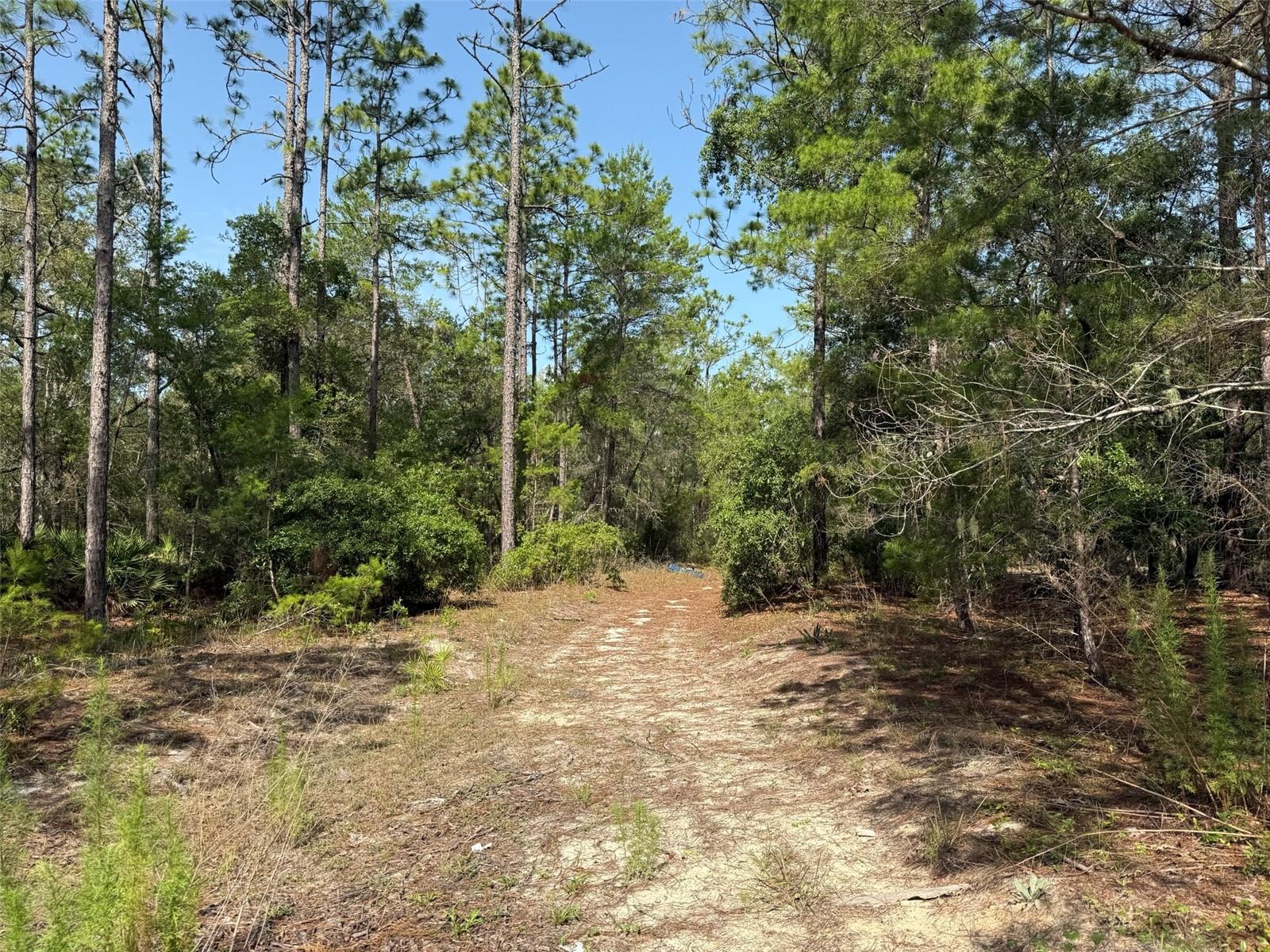 Photo of 101 WASHINGTON AVENUE SATSUMA FL 32189