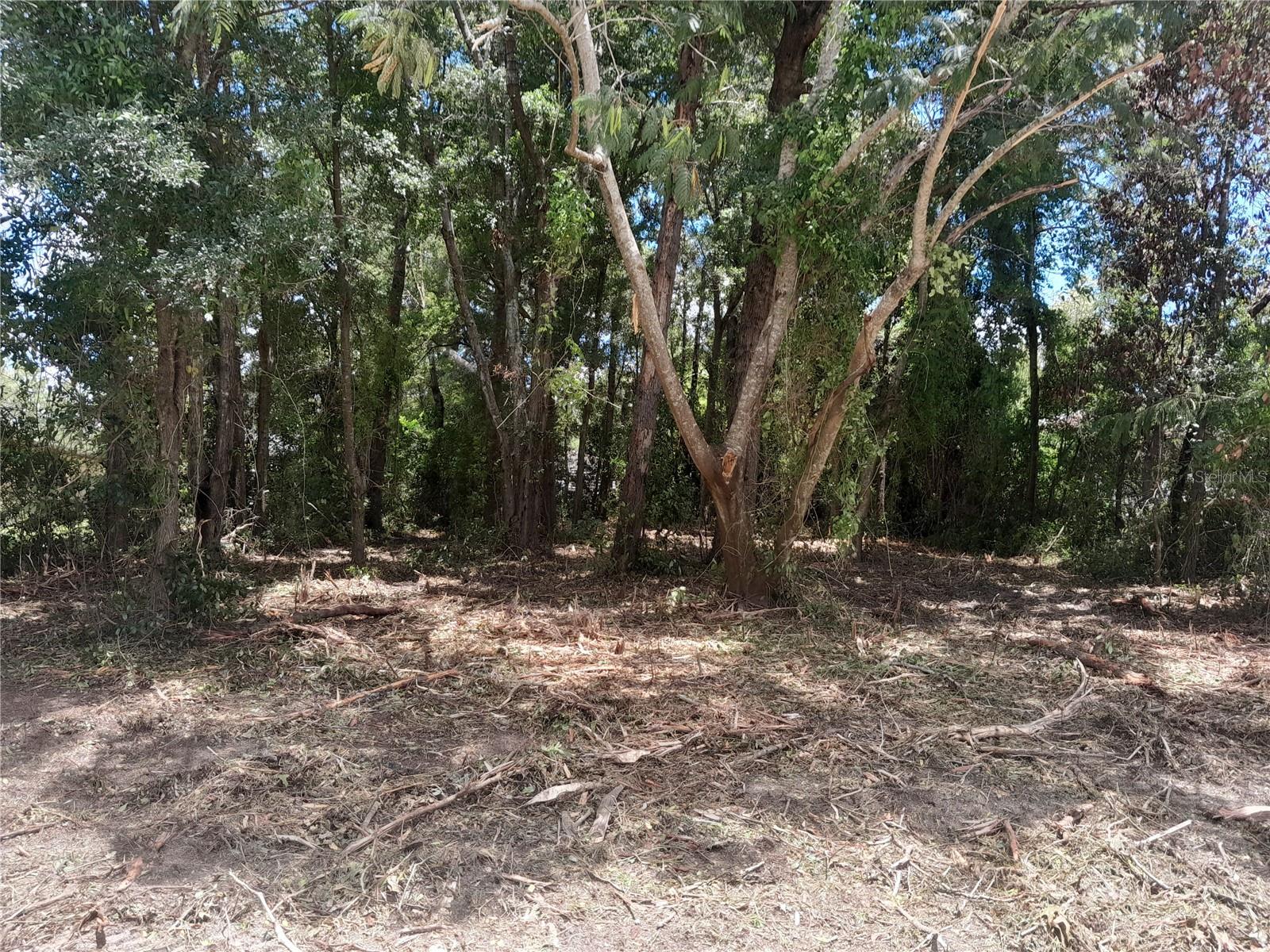 Photo of tbd NE 48TH STREET WILLISTON FL 32696