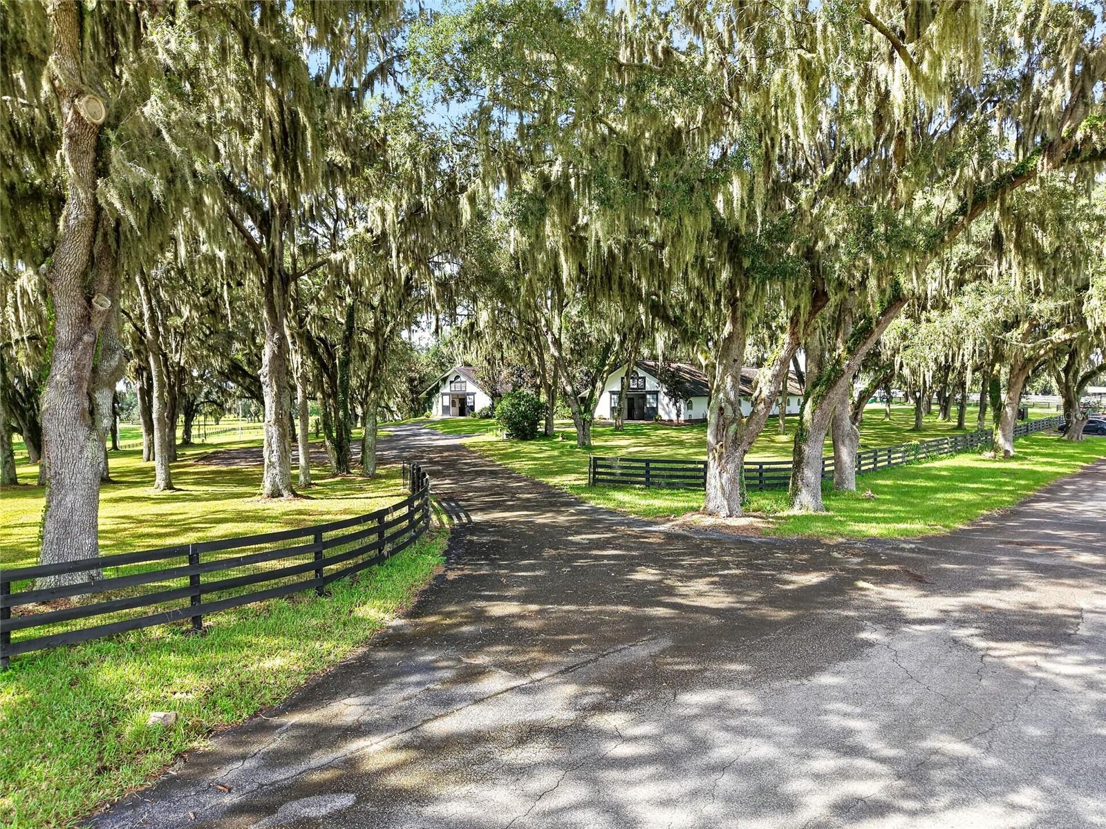 Photo of 5540 SE 157TH STREET ROAD SUMMERFIELD FL 34491
