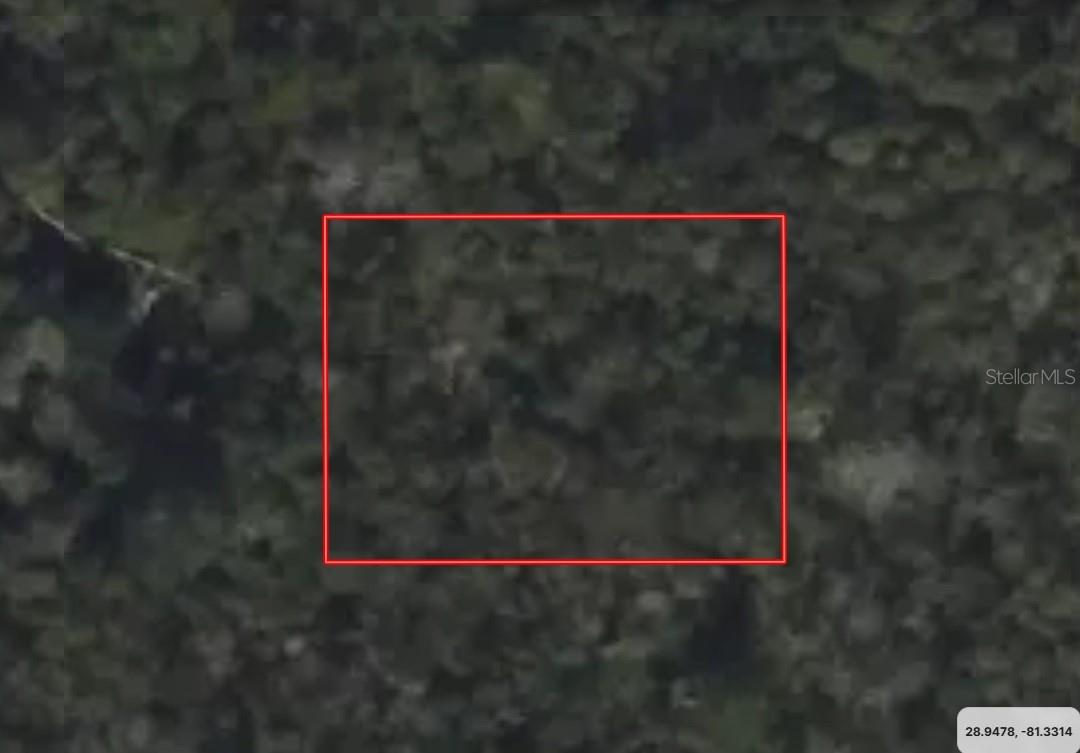 Photo of RIEGEL (PAPER) AVENUE ORANGE CITY FL 32763