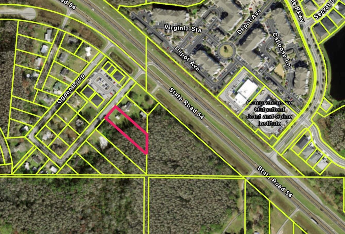 Photo of 14969 OGDEN LOOP ODESSA FL 33556