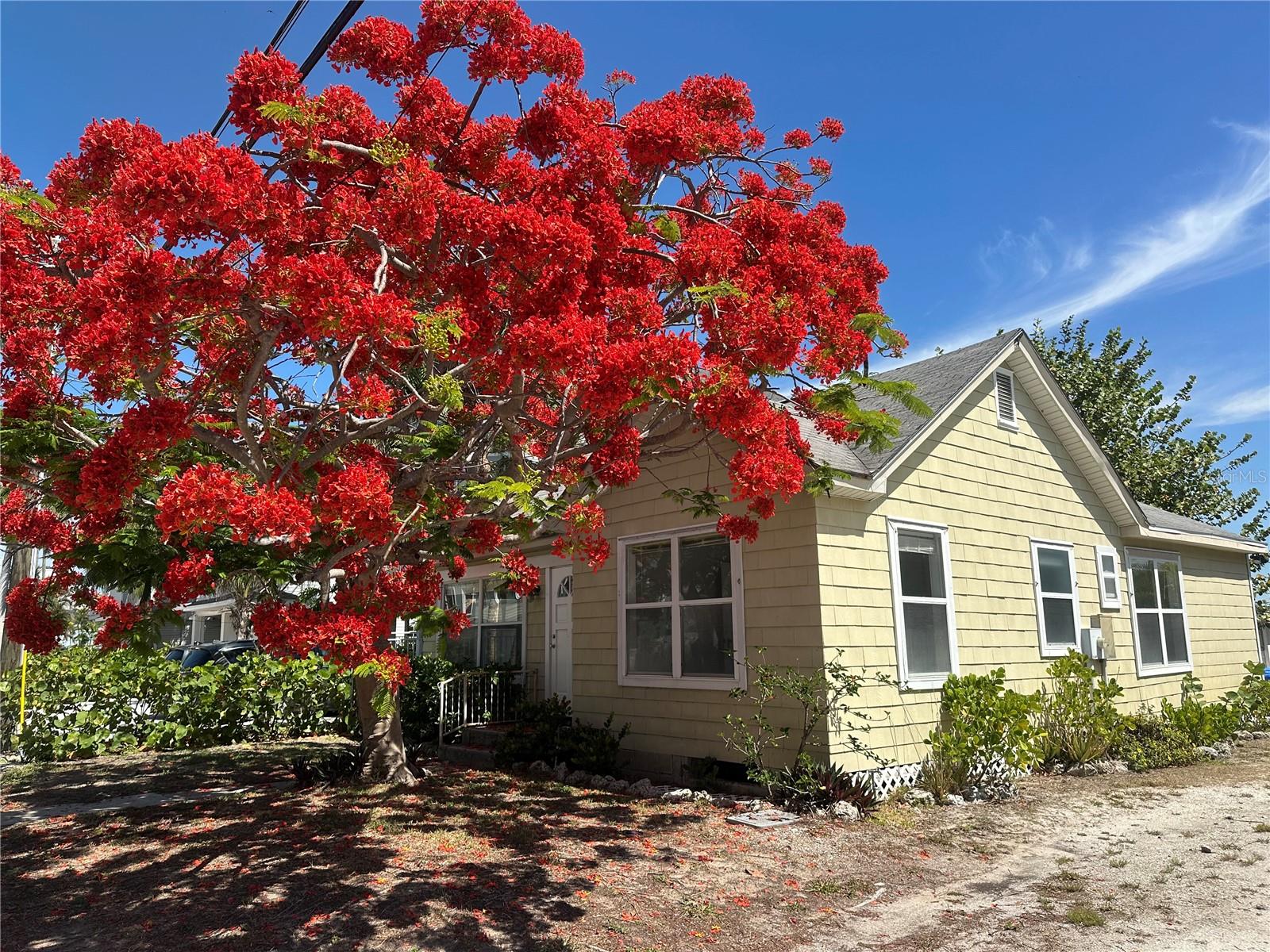 Photo of 8405 BAYSHORE DRIVE TREASURE ISLAND FL 33706