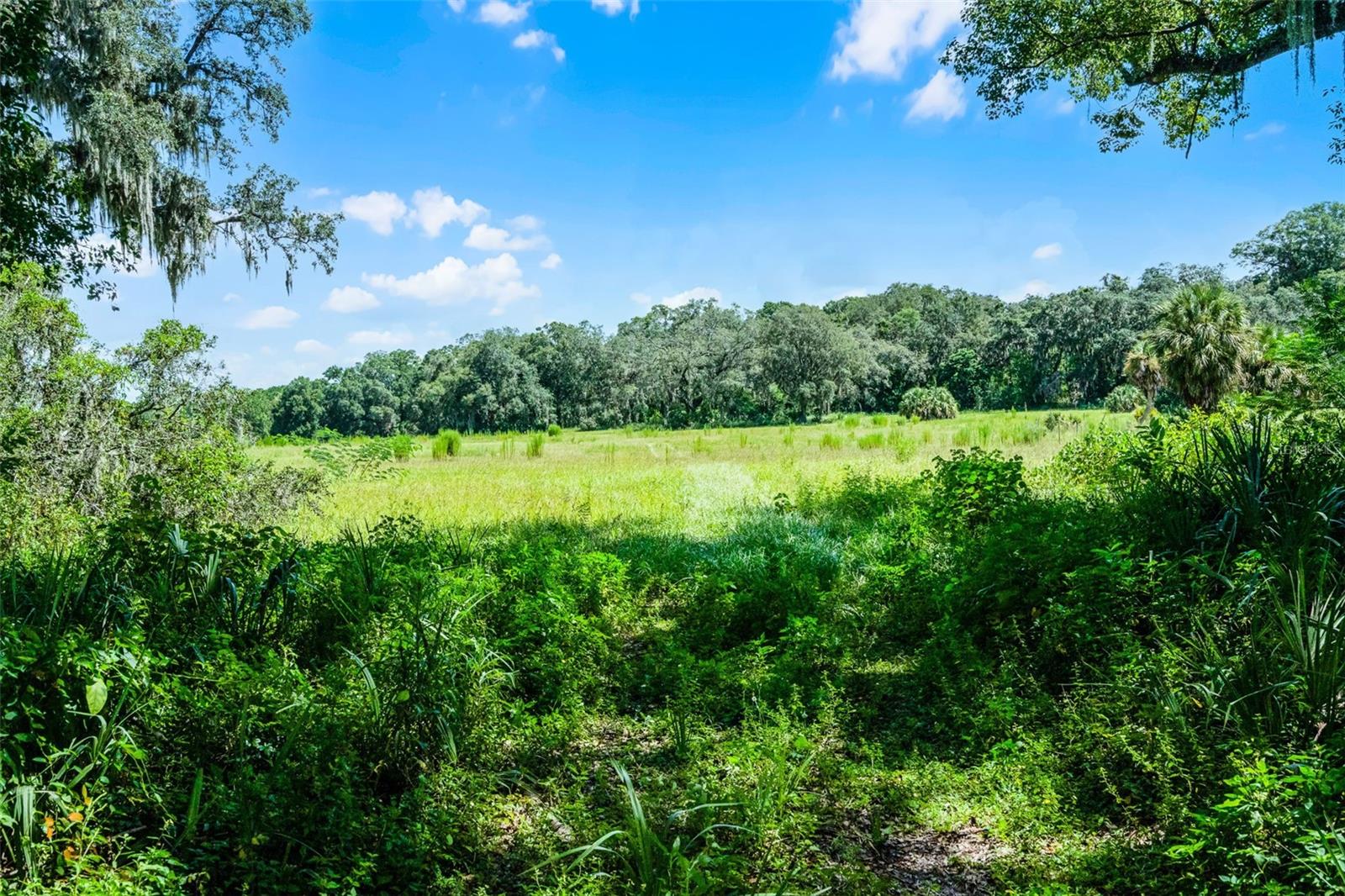 Photo of 7466 VIVIAN LANE ORLANDO FL 32818