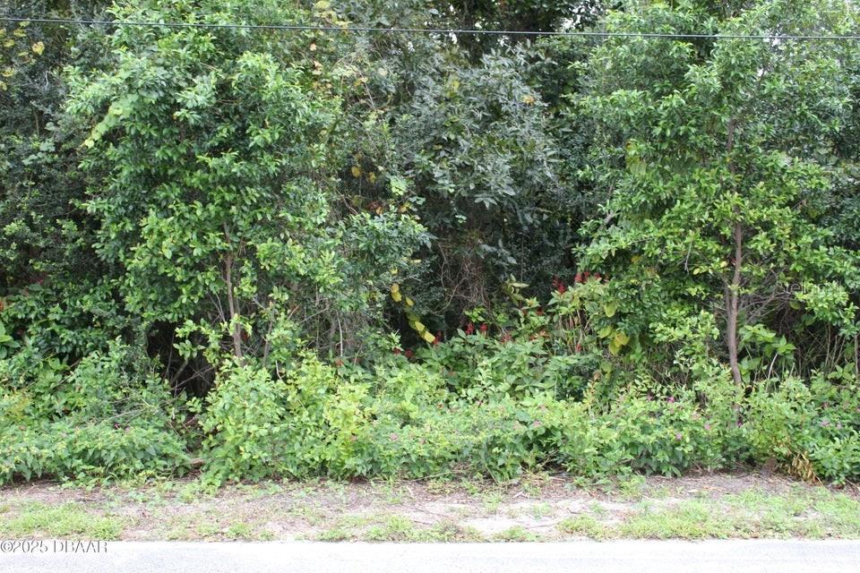 Photo of 510 FRED GAMBLE WAY ORMOND BEACH FL 32174