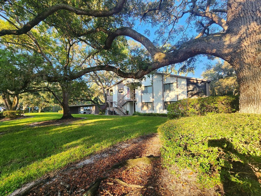 Photo of 603 BALDWIN AVENUE #B SAFETY HARBOR FL 34695