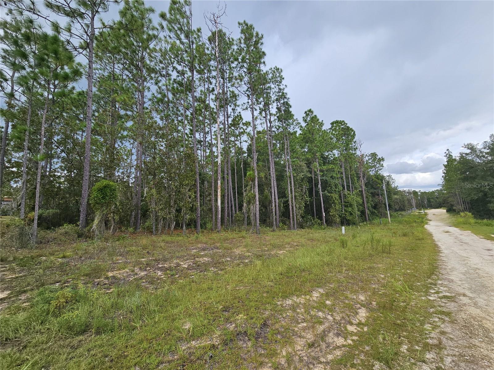 Photo of 11730 NE 101ST TERRACE ARCHER FL 32618