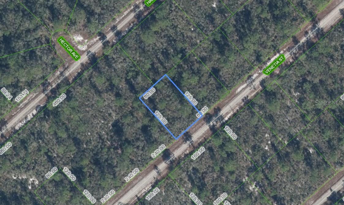 Photo of 3535 VENETIA STREET LAKE PLACID FL 33852