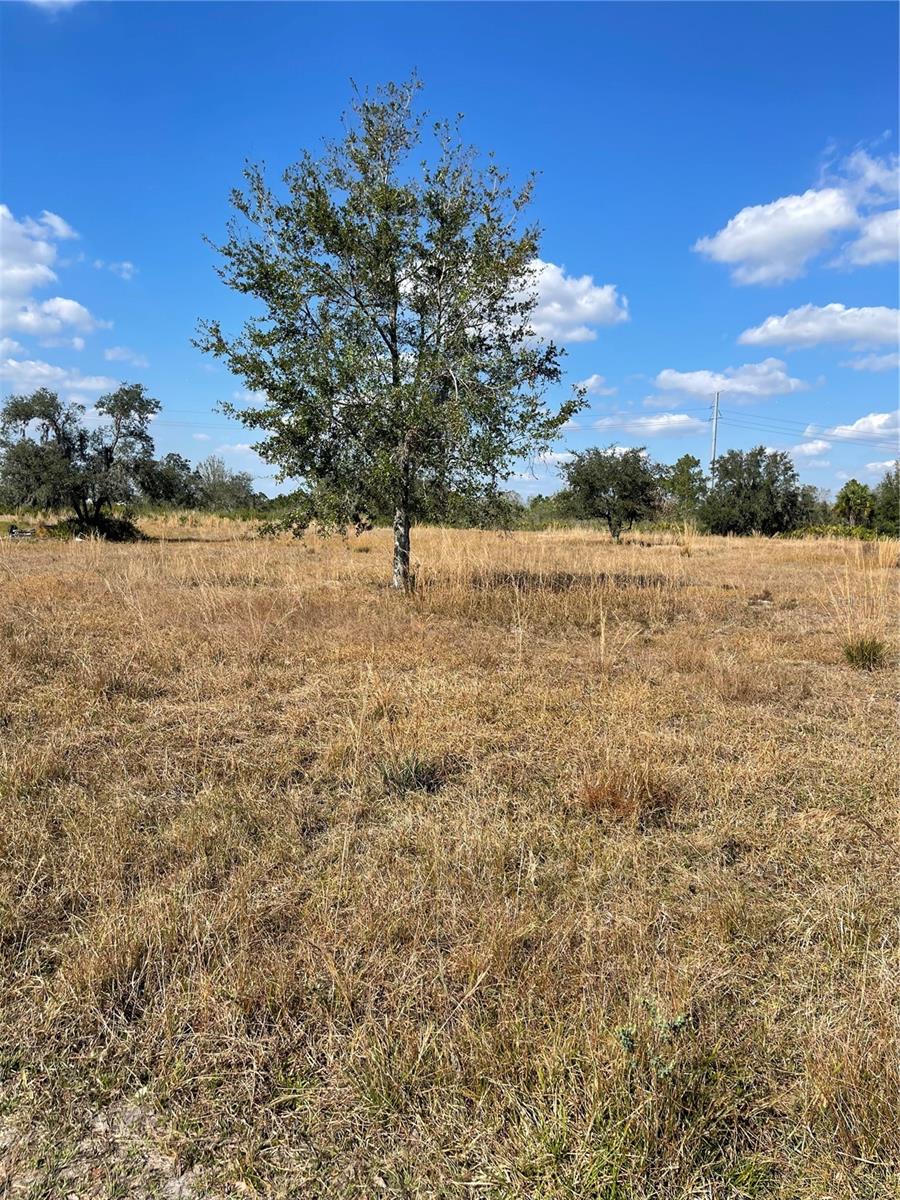 Photo of HAMMERMILL AVENUE LAKE WALES FL 33859