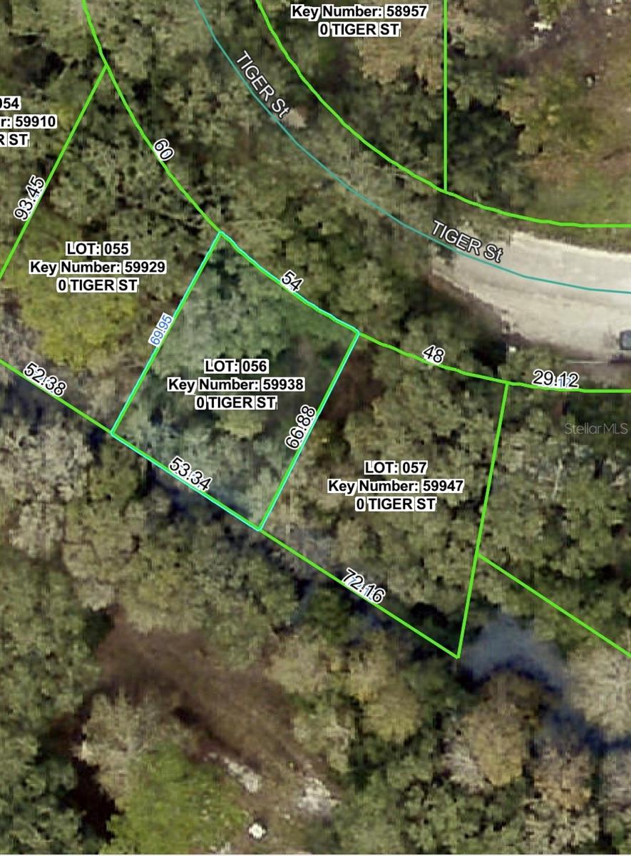 Photo of 3217 TIGER STREET DADE CITY FL 33523