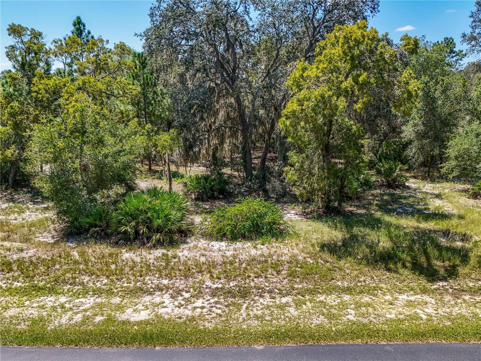 Photo of 3134 BRIGHT LAKE CIRCLE LEESBURG FL 34748