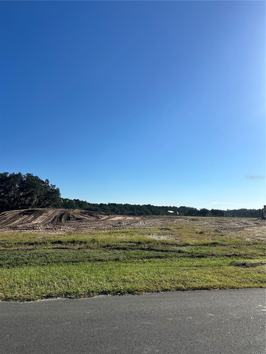 Photo of 38404 WOODED MEADOW DRIVE UMATILLA FL 32784