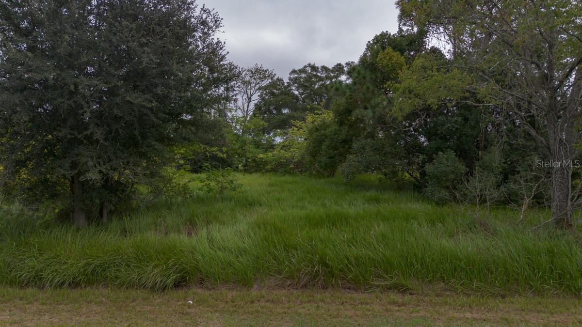 Photo of LAUREL CT OCALA FL 34478