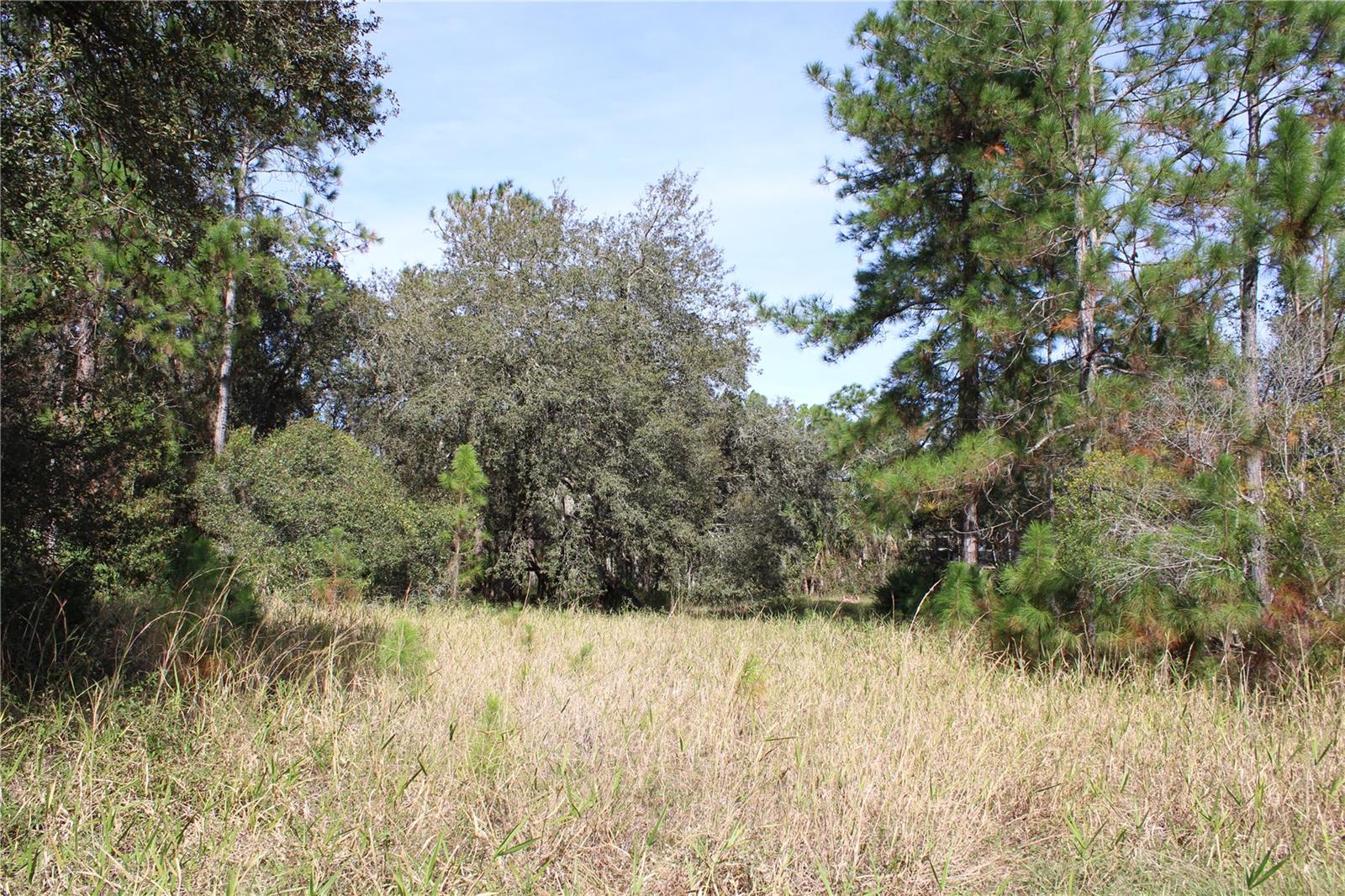 Photo of DUBOISE DRIVE CLERMONT FL 34711