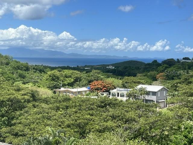 Photo of 15 BIRD'S NEST STUDIOS VIEQUES PR 00765
