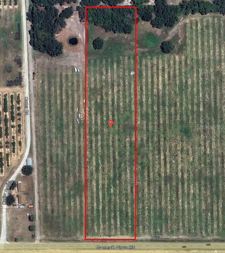 Photo of MAMMOTH GROVE ROAD LAKE WALES FL 33898
