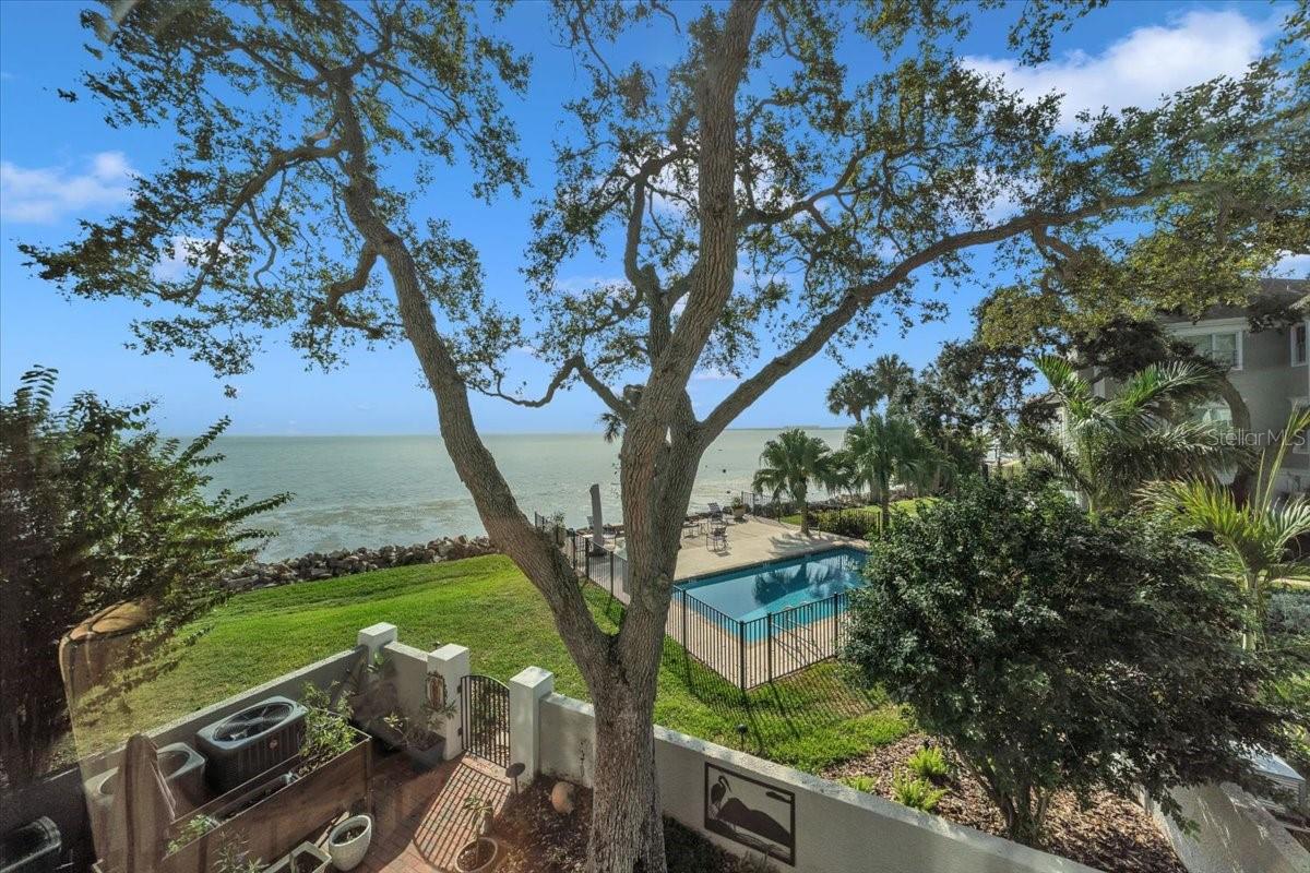 Photo of 6212 BAYSHORE BOULEVARD #K TAMPA FL 33611