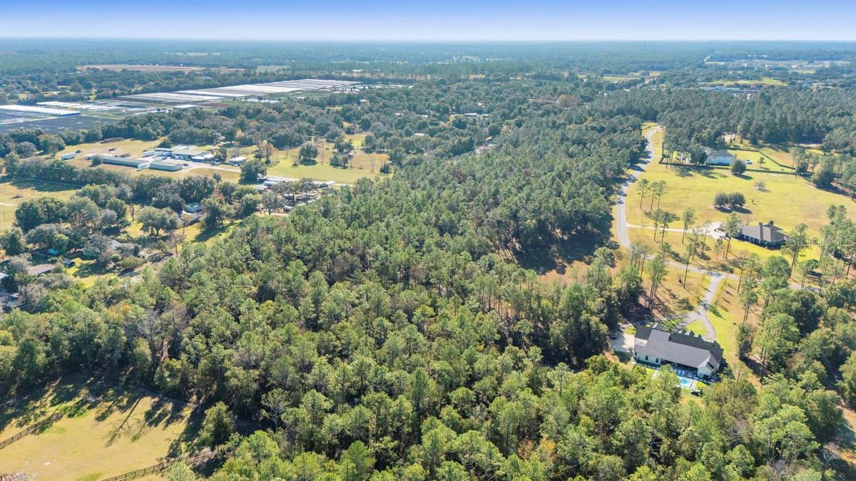 Photo of 24250 DEEP SPRINGS LOOP EUSTIS FL 32736