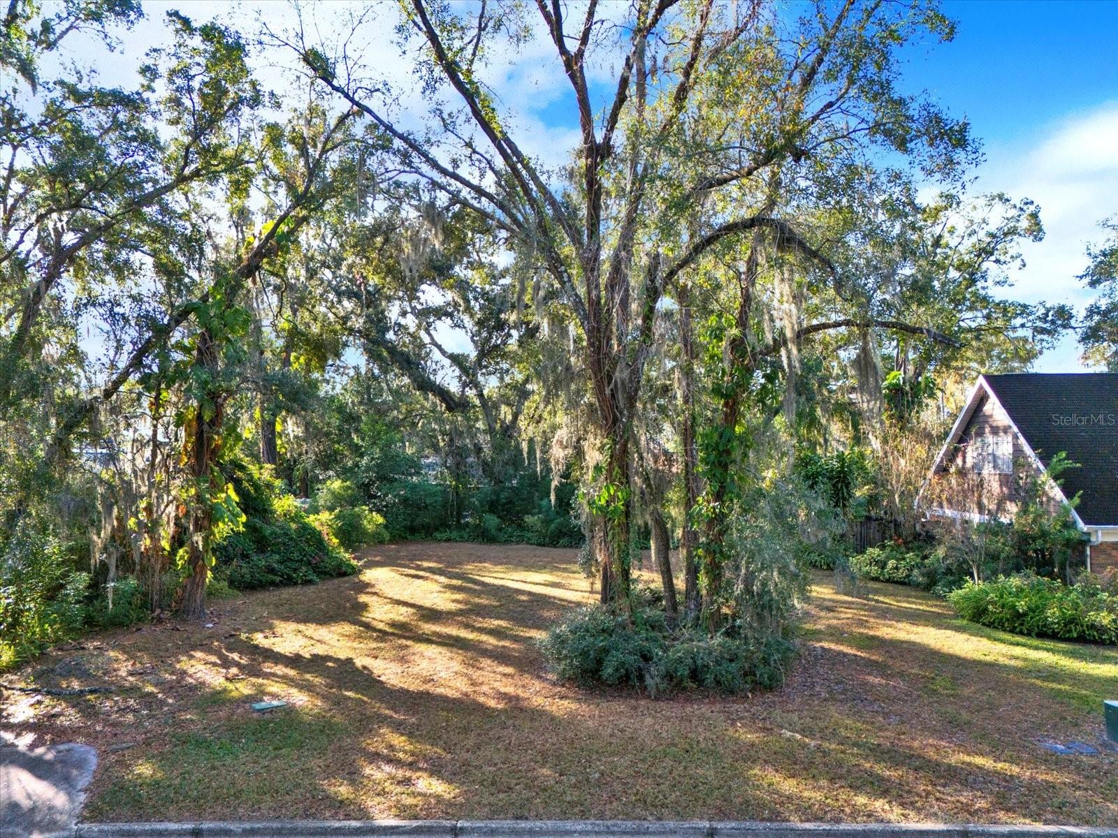 Photo of 1113 N RIVERHILLS DRIVE TEMPLE TERRACE FL 33617
