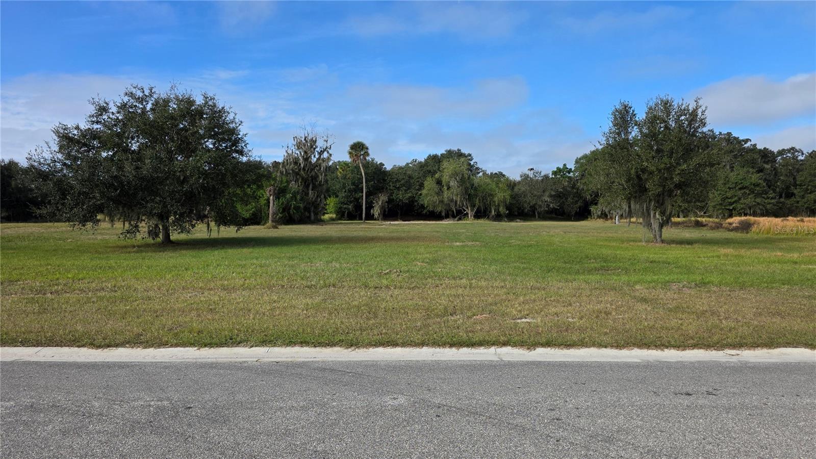 Photo of 15311 FISHHAWK HEIGHTS RUN LITHIA FL 33547