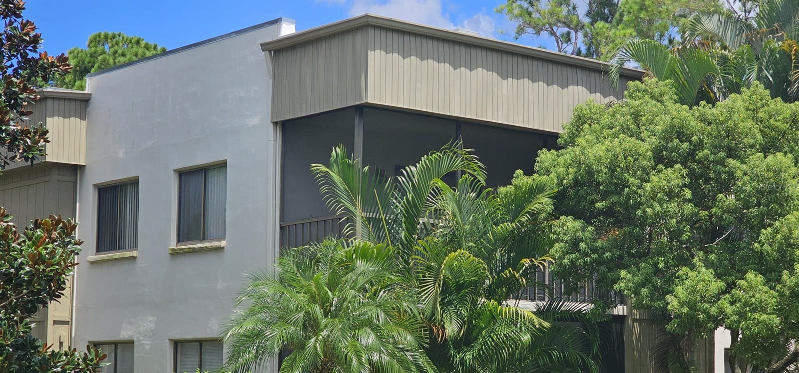 Photo of 3300 FOX CHASE CIRCLE #231 PALM HARBOR FL 34683