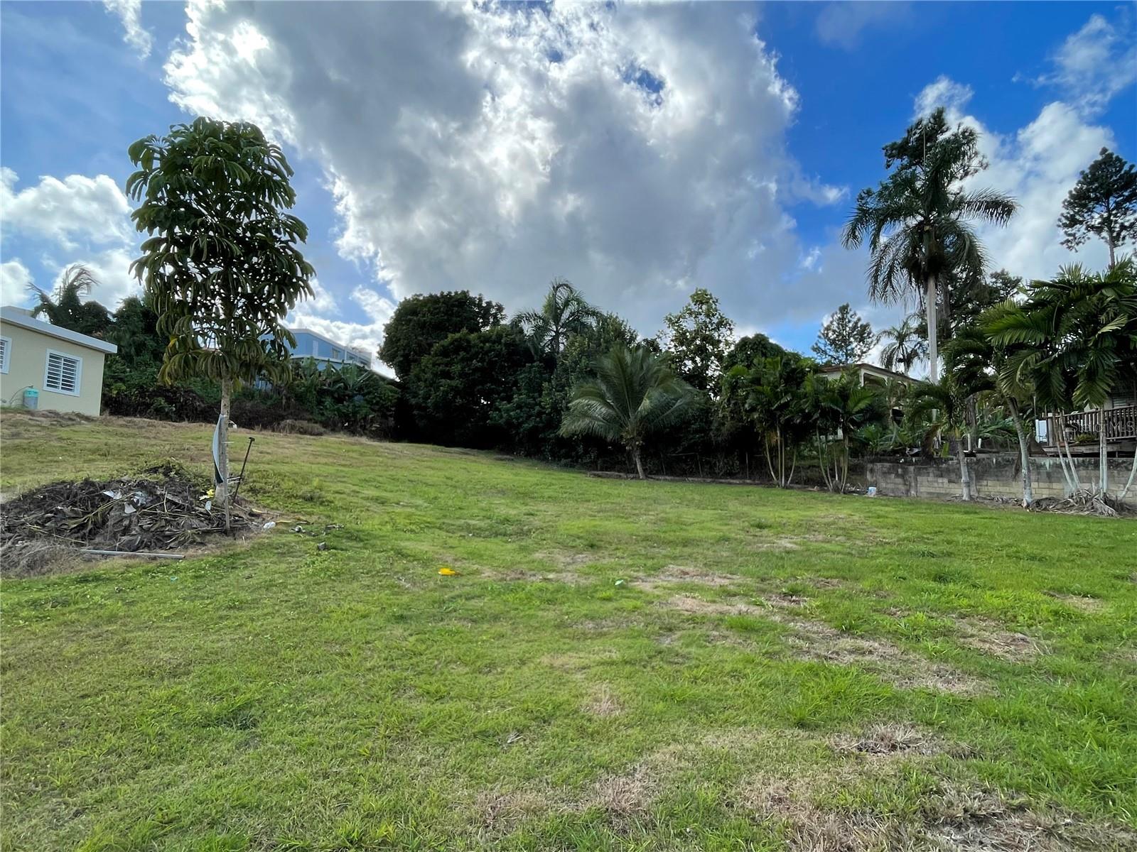 Photo of CANABONCITO STRD 172 KM7.5 CAGUAS PR 00725