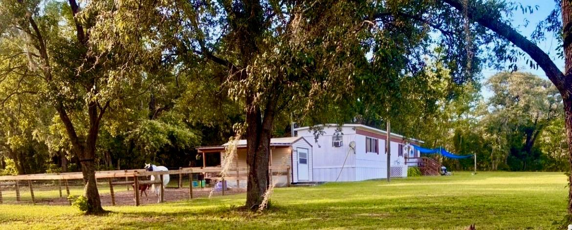 Photo of 6250 SE 150TH AVENUE MORRISTON FL 32668