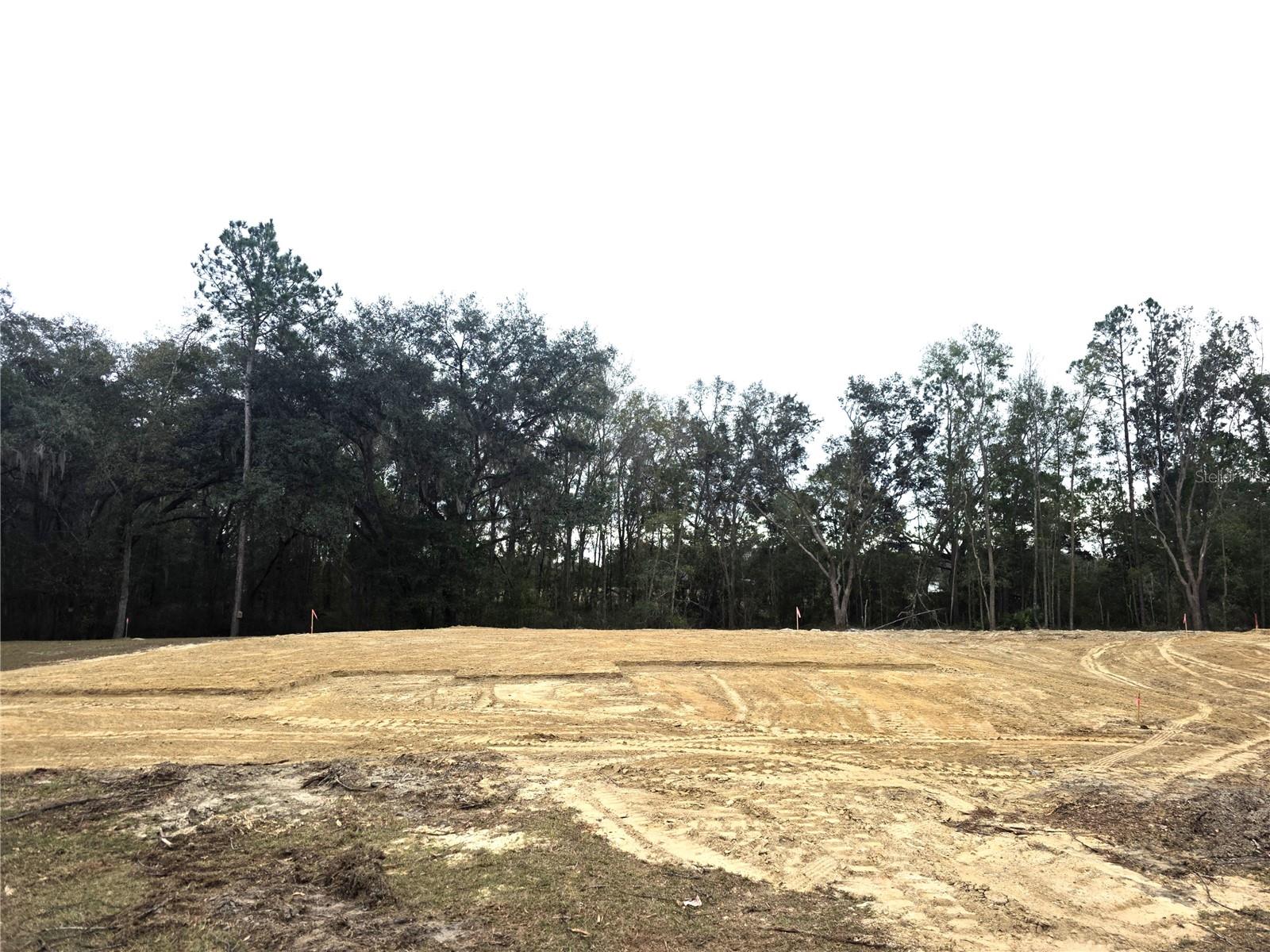 Photo of 525 SW BELLFLOWER DRIVE LAKE CITY FL 32024