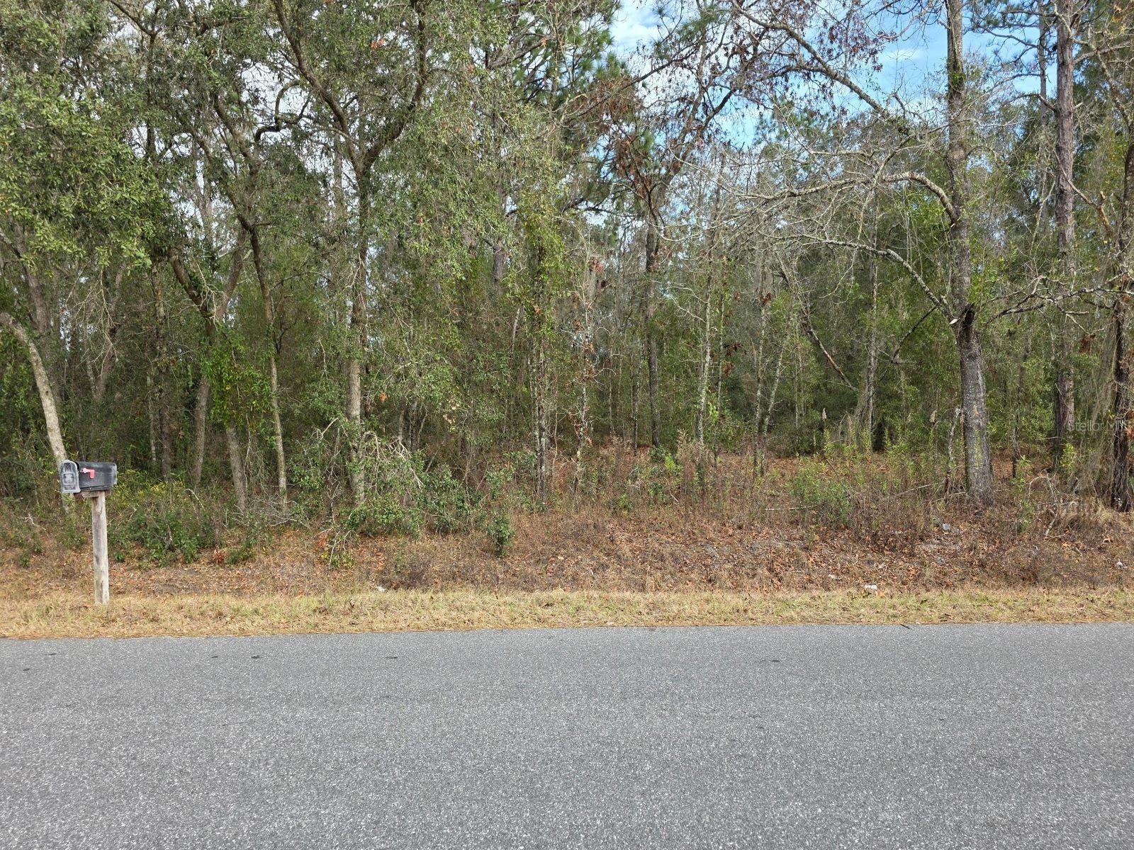 Photo of SW 140TH COURT OCALA FL 34481