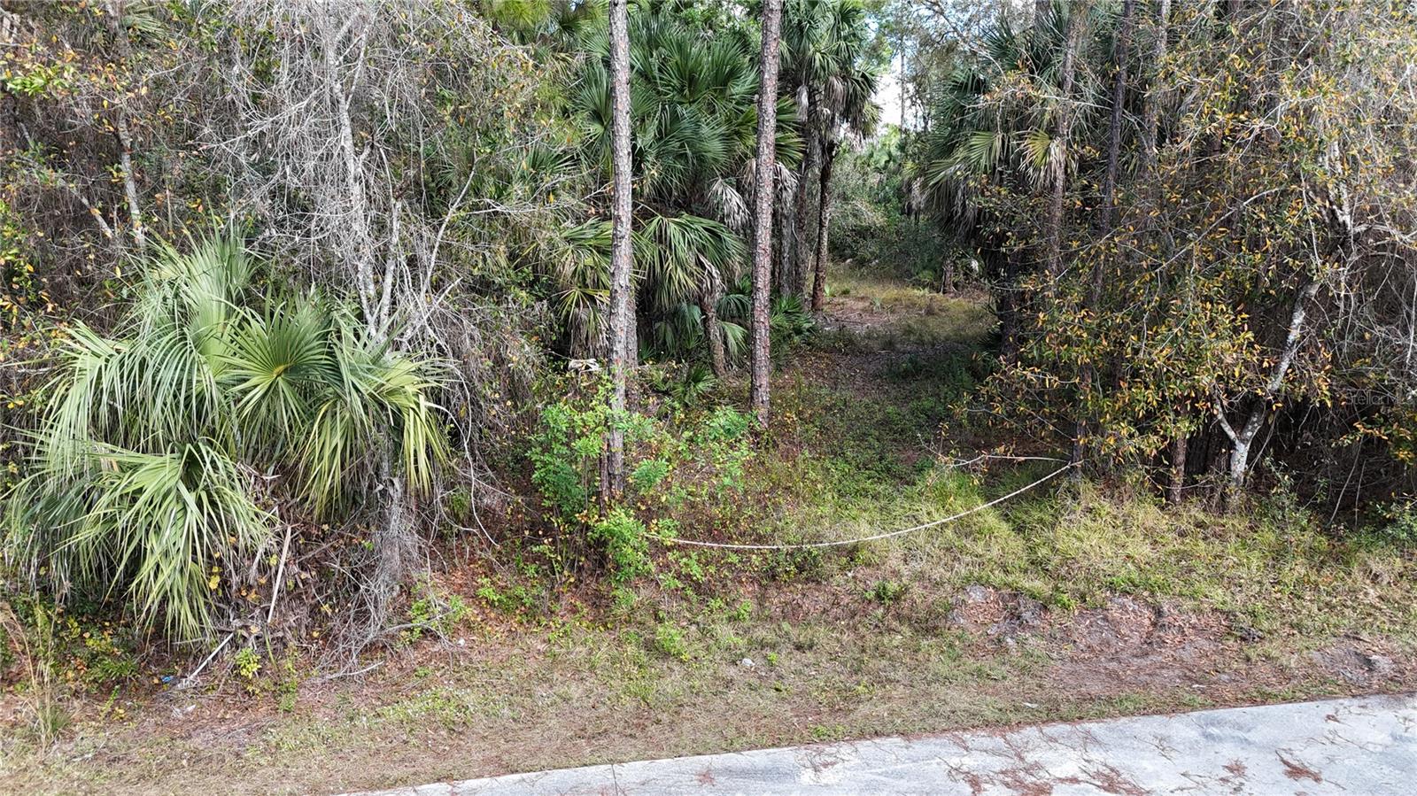 Photo of 16TH AVE SE NAPLES FL 34117