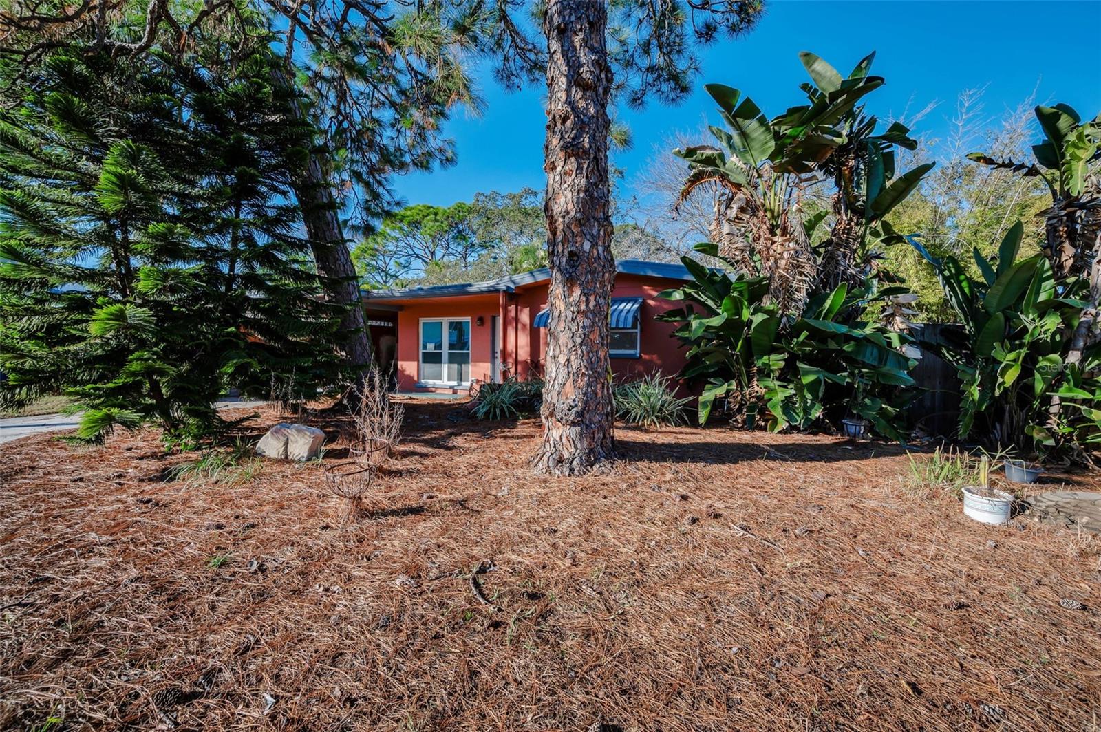 Photo of 406 ORCHID LANE PALM HARBOR FL 34683