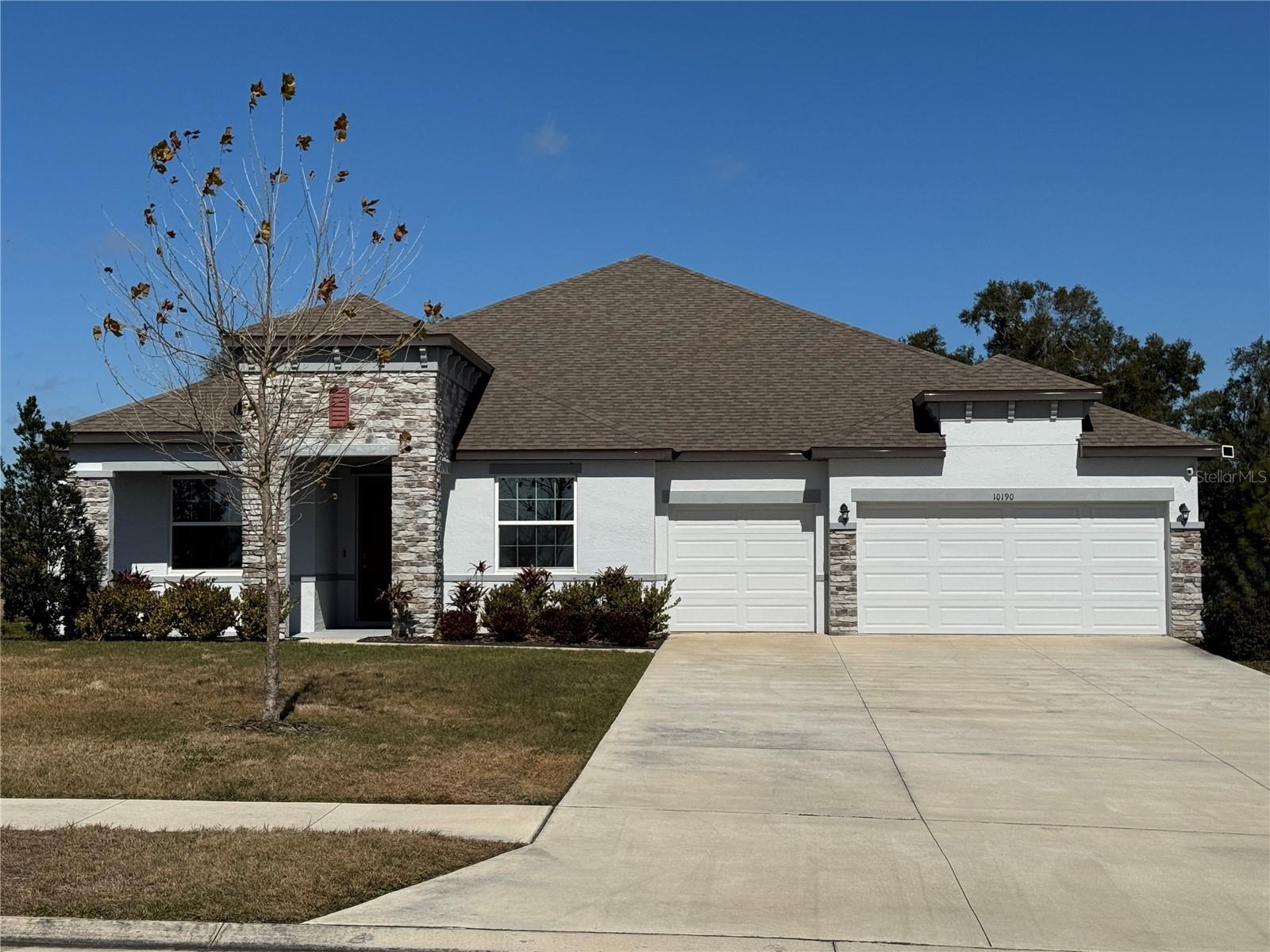 Photo of 10190 DOLPHIN GULL CIRCLE THONOTOSASSA FL 33592