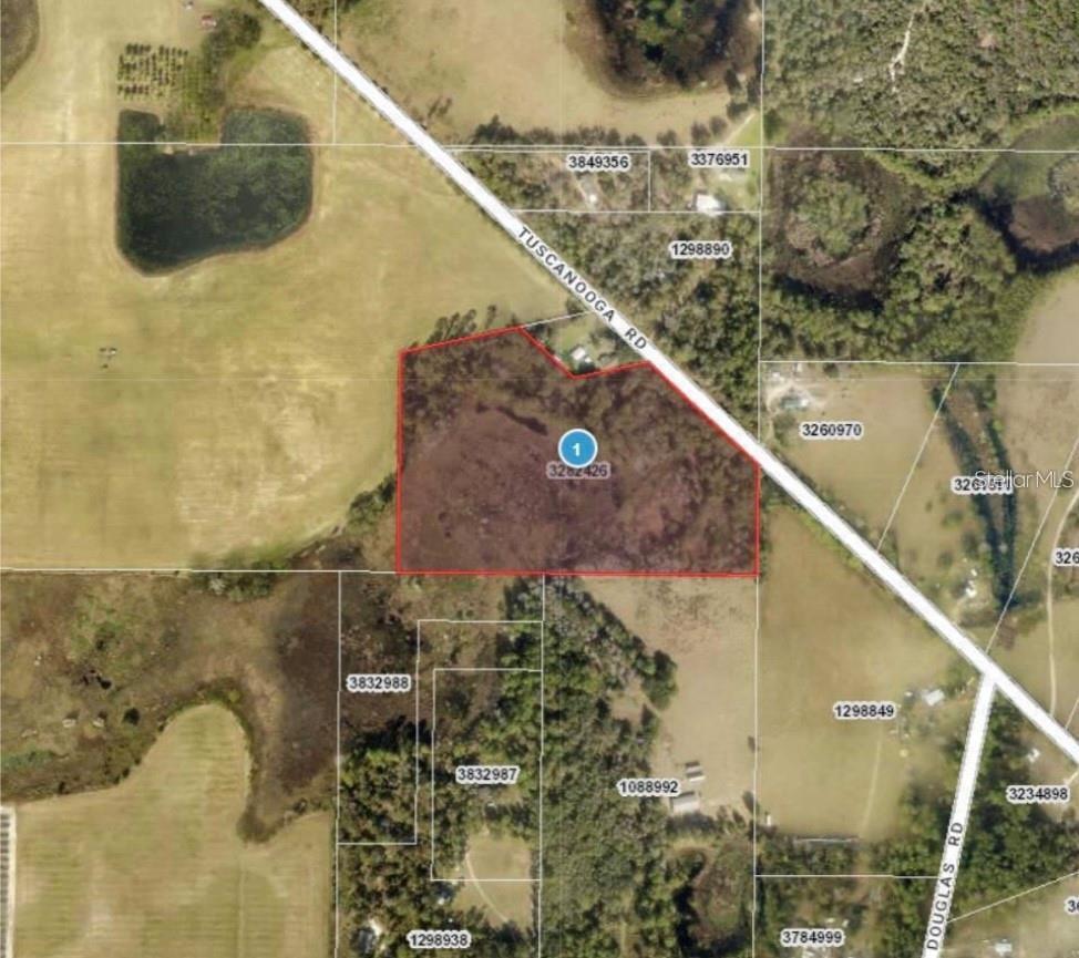 Photo of TUSCANOOGA ROAD MASCOTTE FL 34753