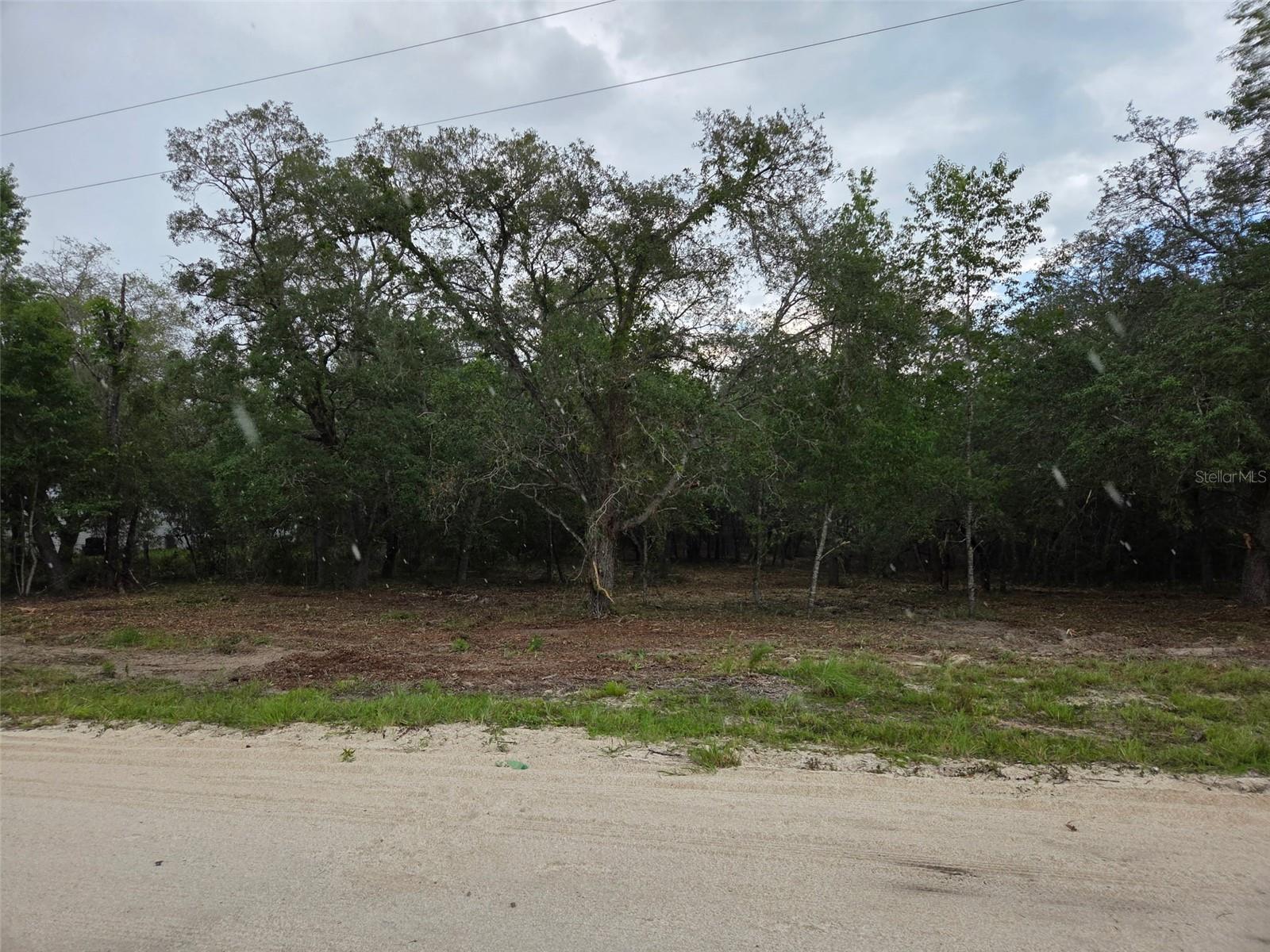 Photo of 21531 SE 68TH LANE MORRISTON FL 32668