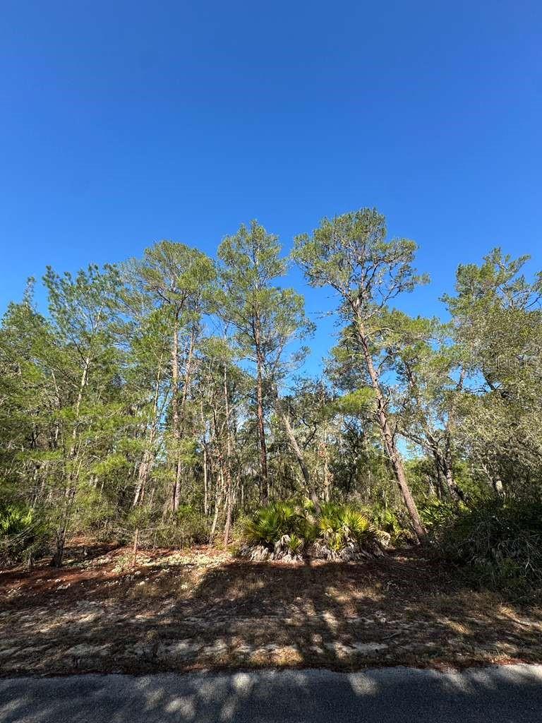 Photo of No Address Listed OCKLAWAHA FL 32179