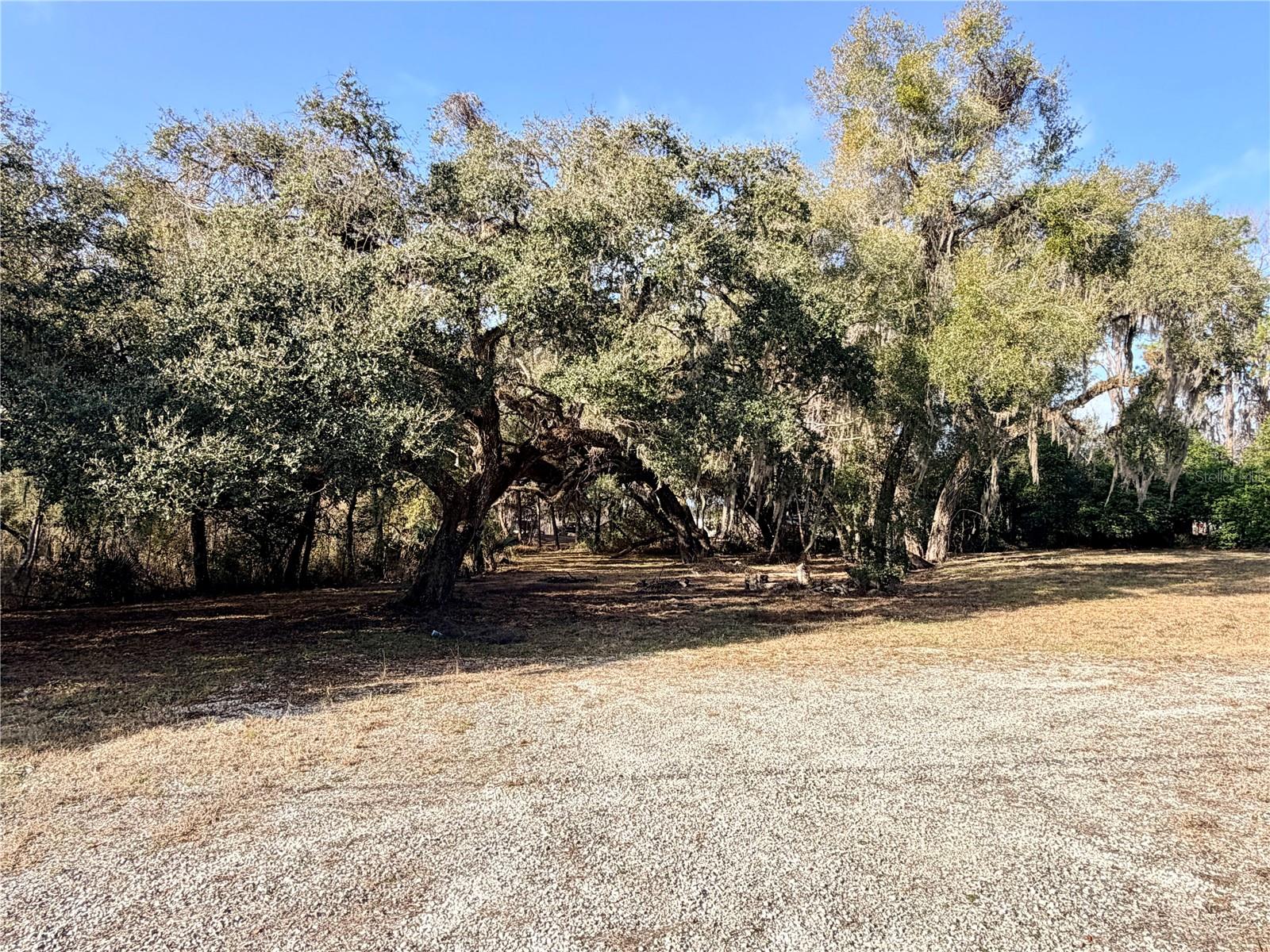 Photo of 5666 S FLORIDA AVENUE FLORAL CITY FL 34436