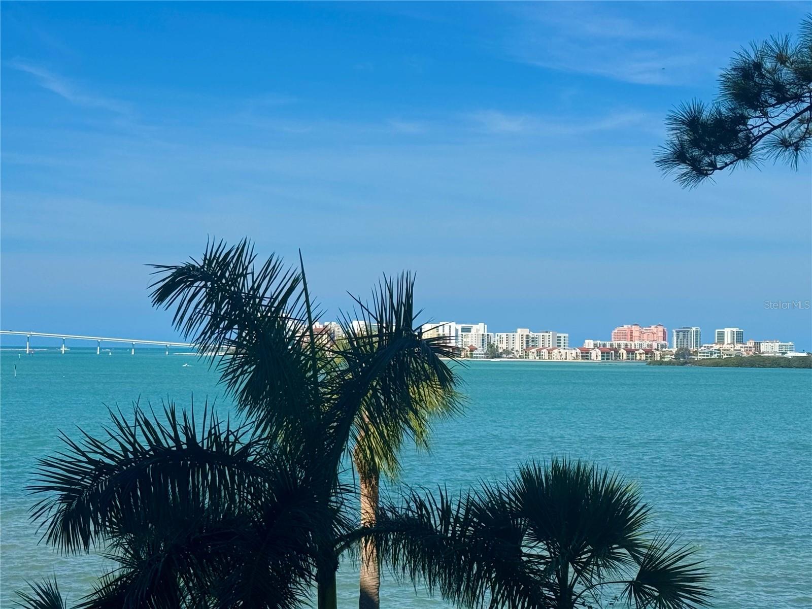 Photo of 602 LIME AVENUE #203 CLEARWATER FL 33756