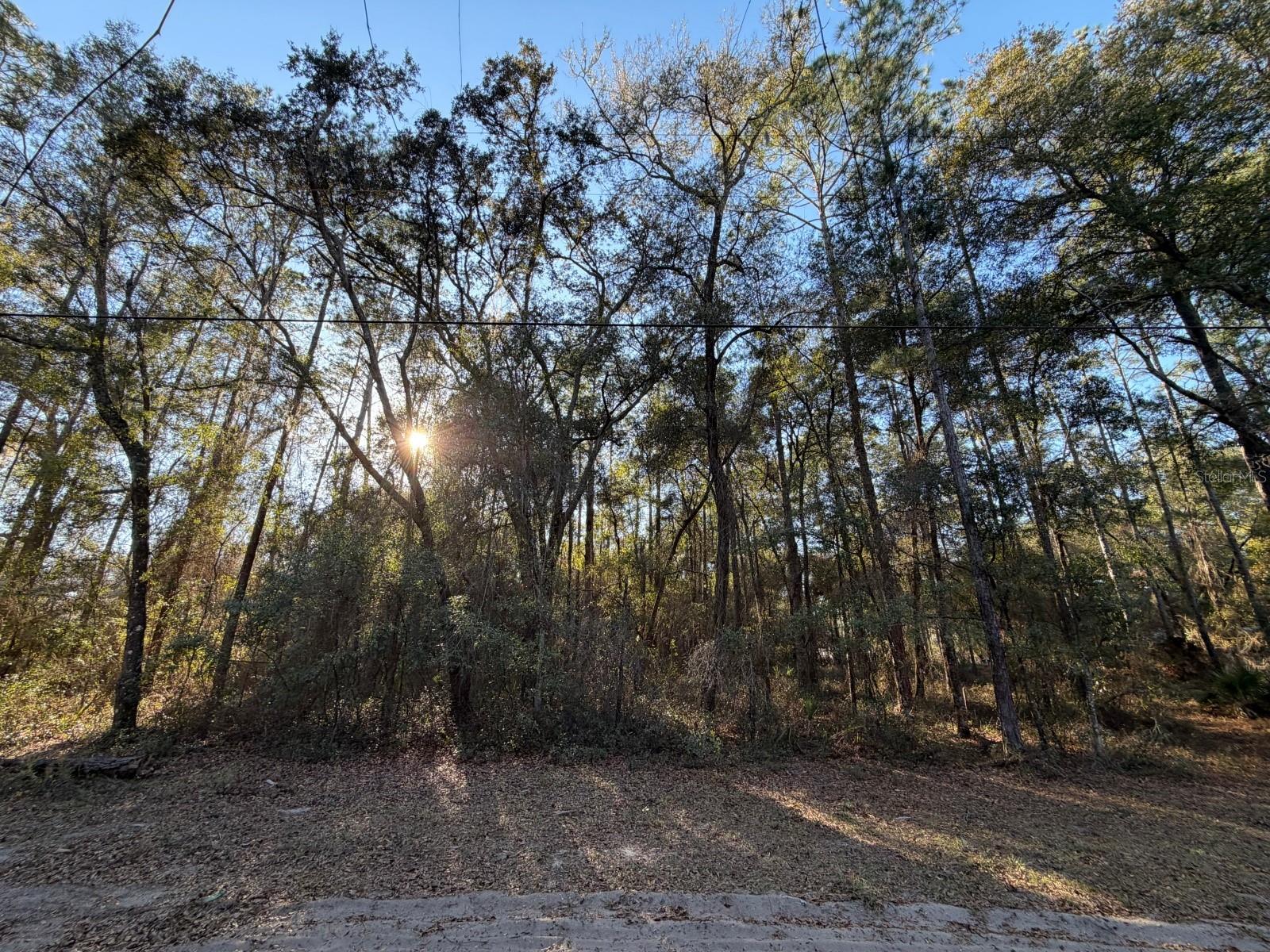 Photo of TBD NE 150 AVENUE FORT MC COY FL 32134