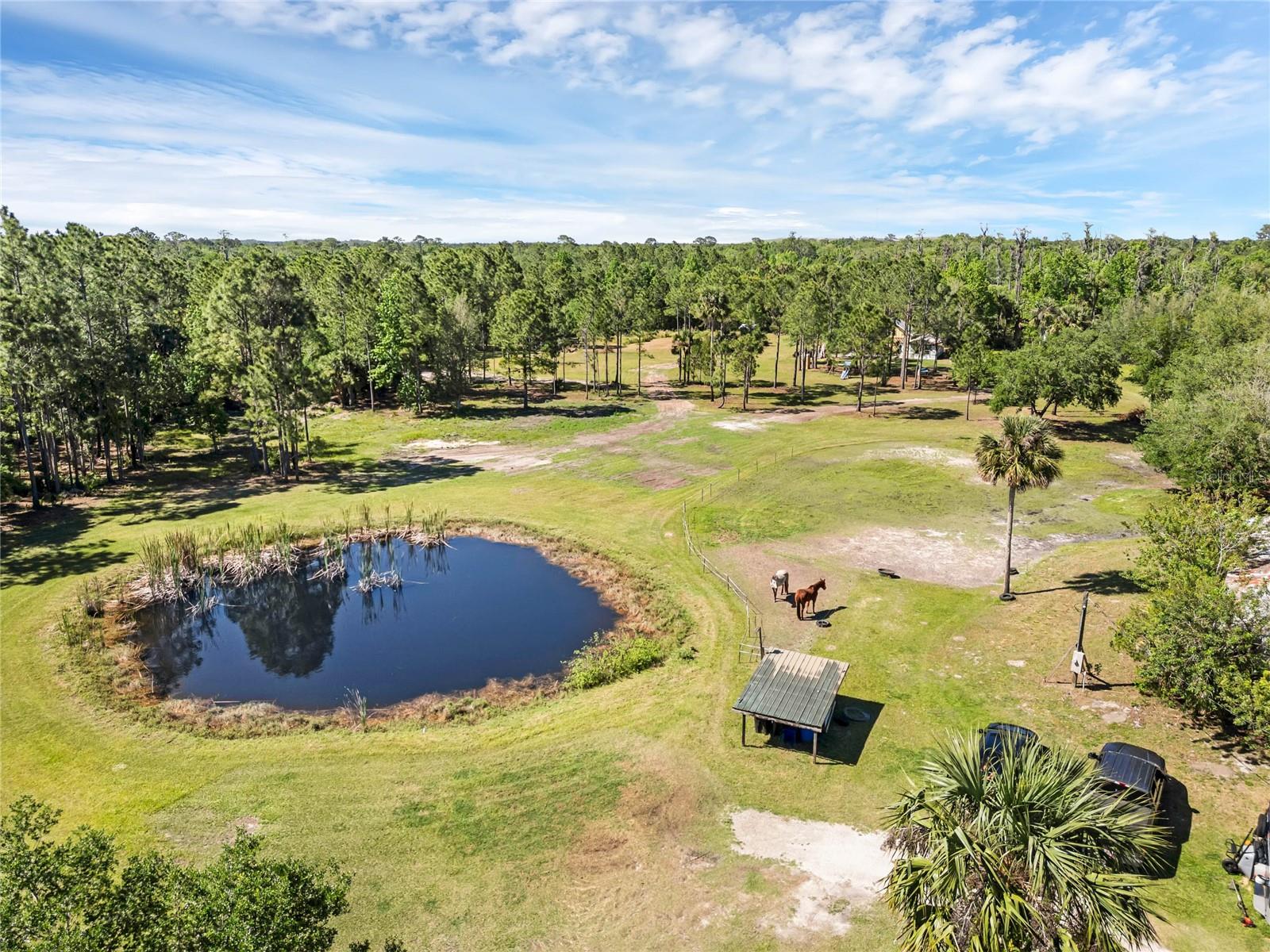 Photo of 2321 WACCASSA STREET GENEVA FL 32732