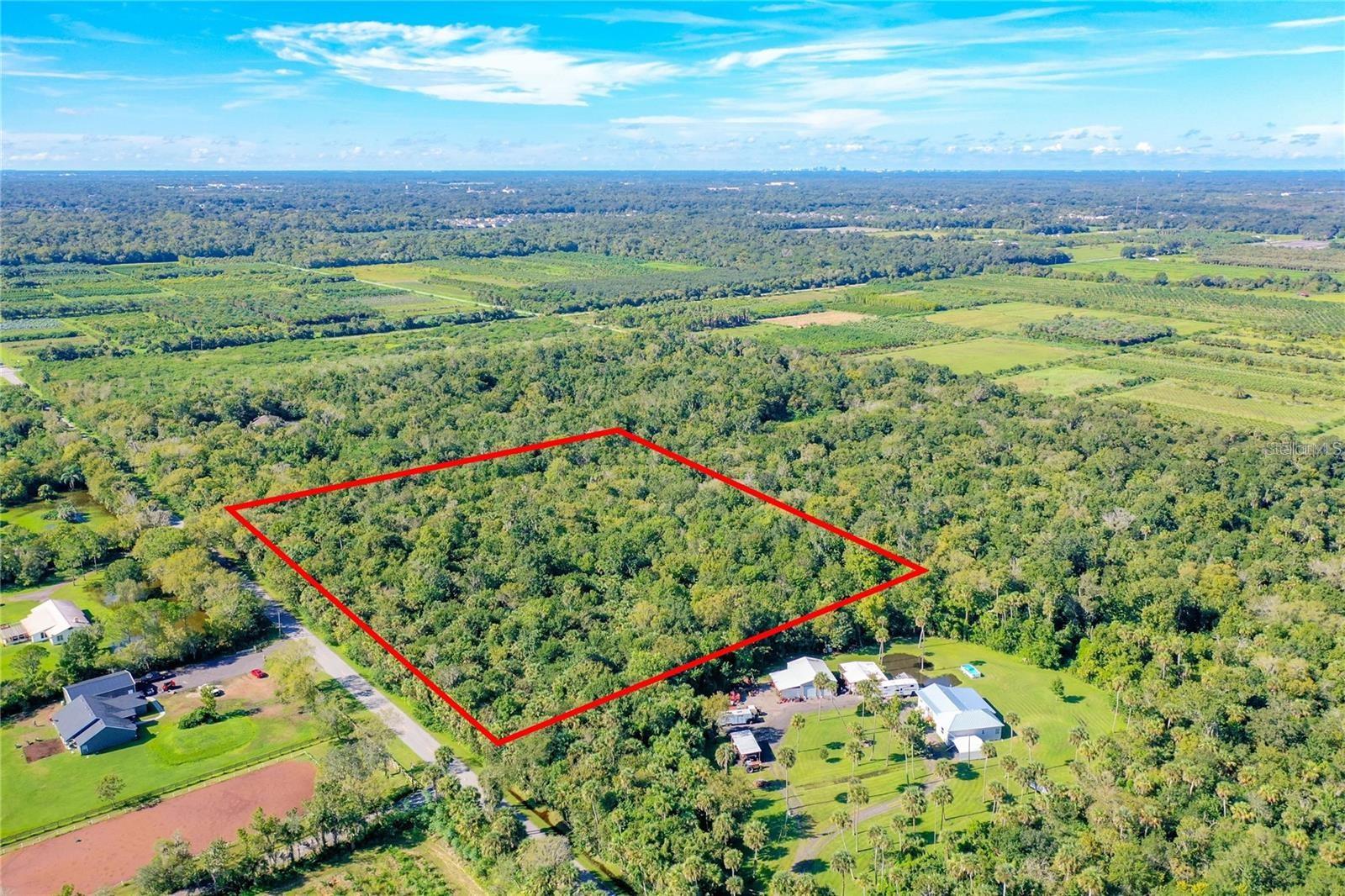 Photo of ELM STREET OVIEDO FL 32765