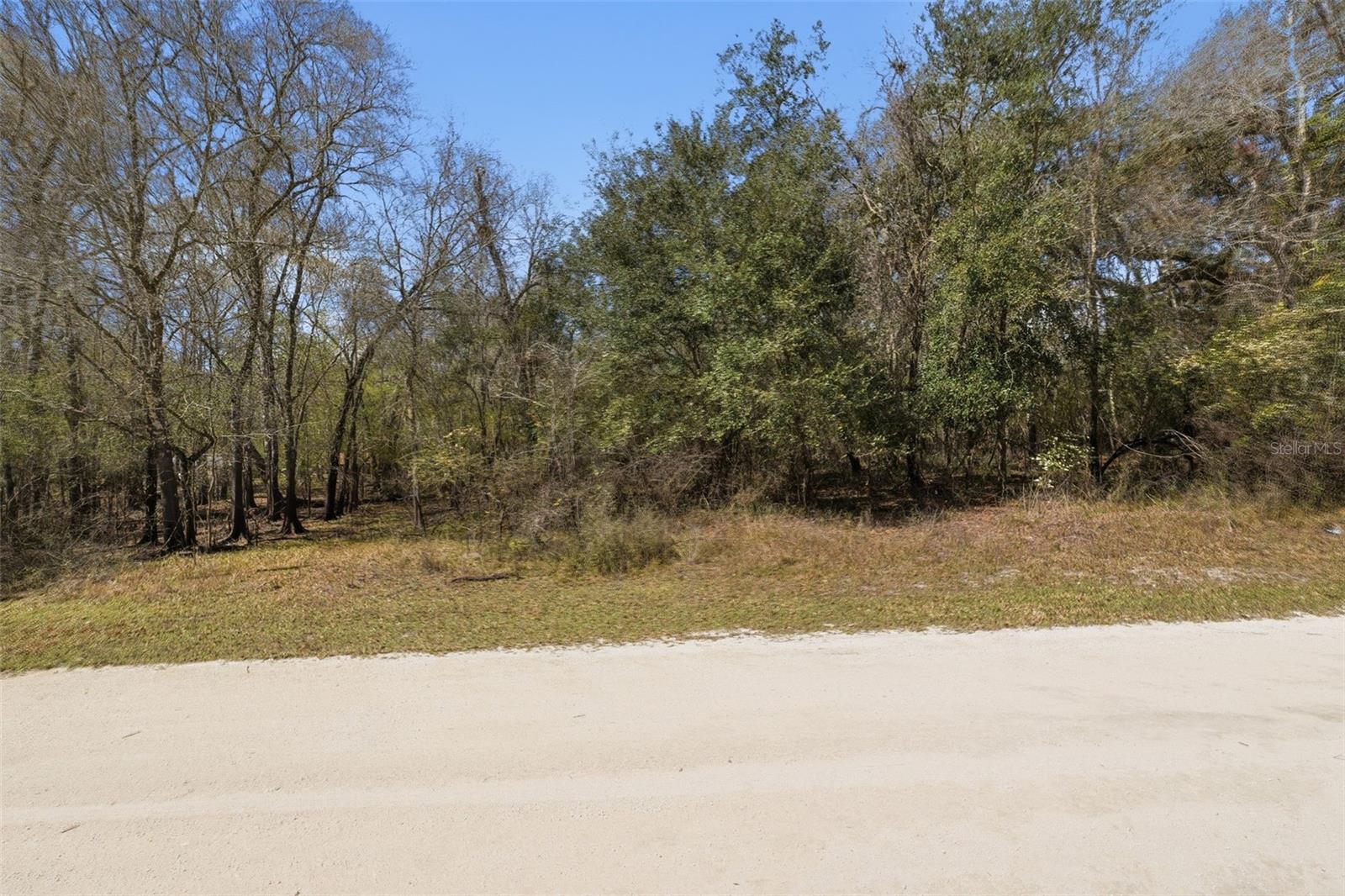 Photo of No Address Listed WEBSTER FL 33597