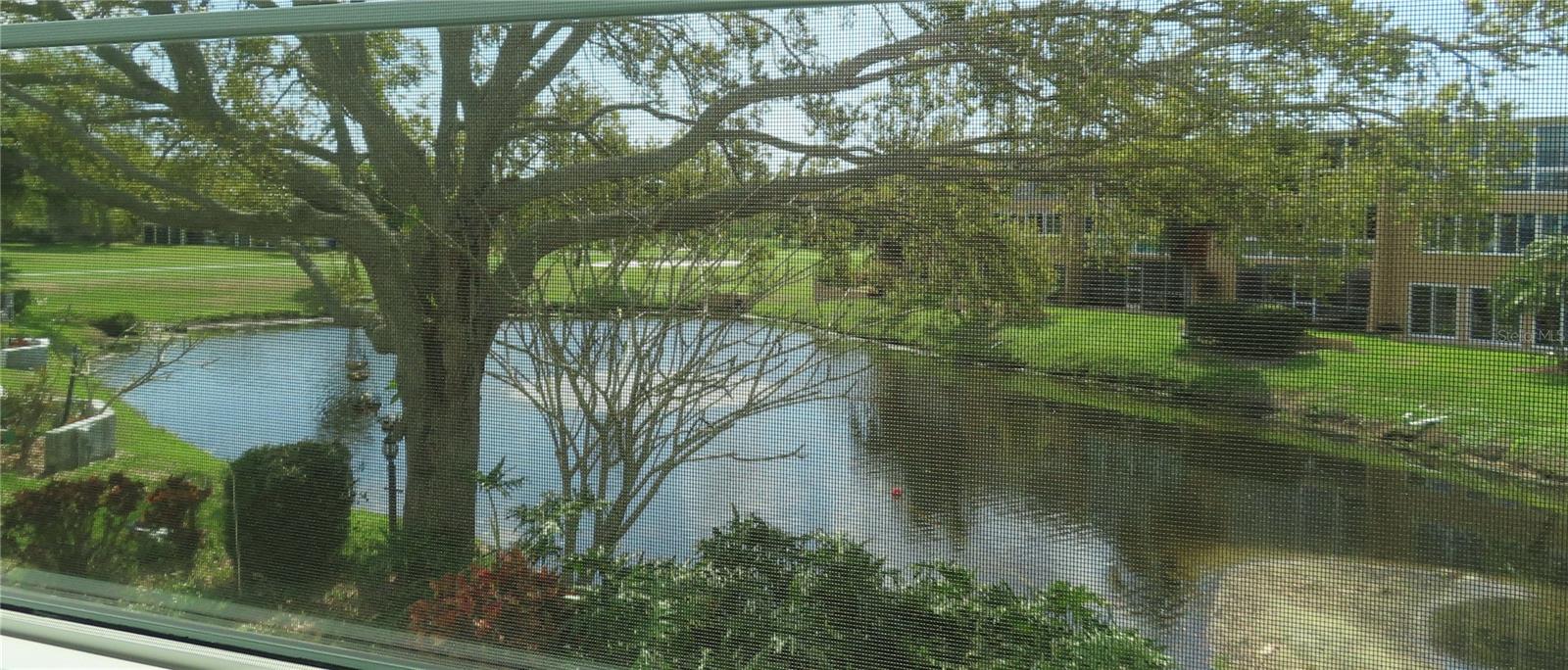 Photo of 225 COUNTRY CLUB DRIVE #C225 LARGO FL 33771