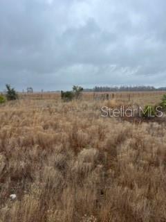 Photo of 1137 HOPKINS LANE ZOLFO SPRINGS FL 33890