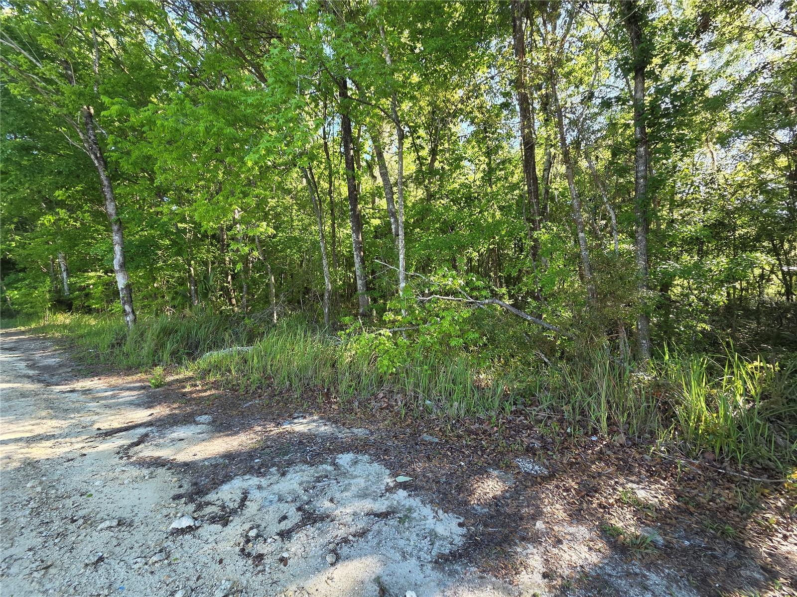 Photo of 0000 SE 42ND COURT BELLEVIEW FL 34420
