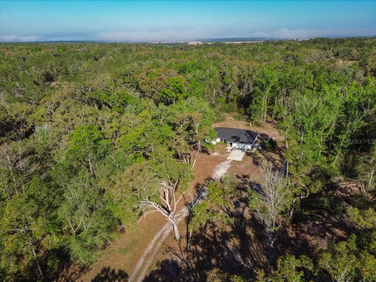 Photo of 957 NE 354TH AVENUE OLD TOWN FL 32680