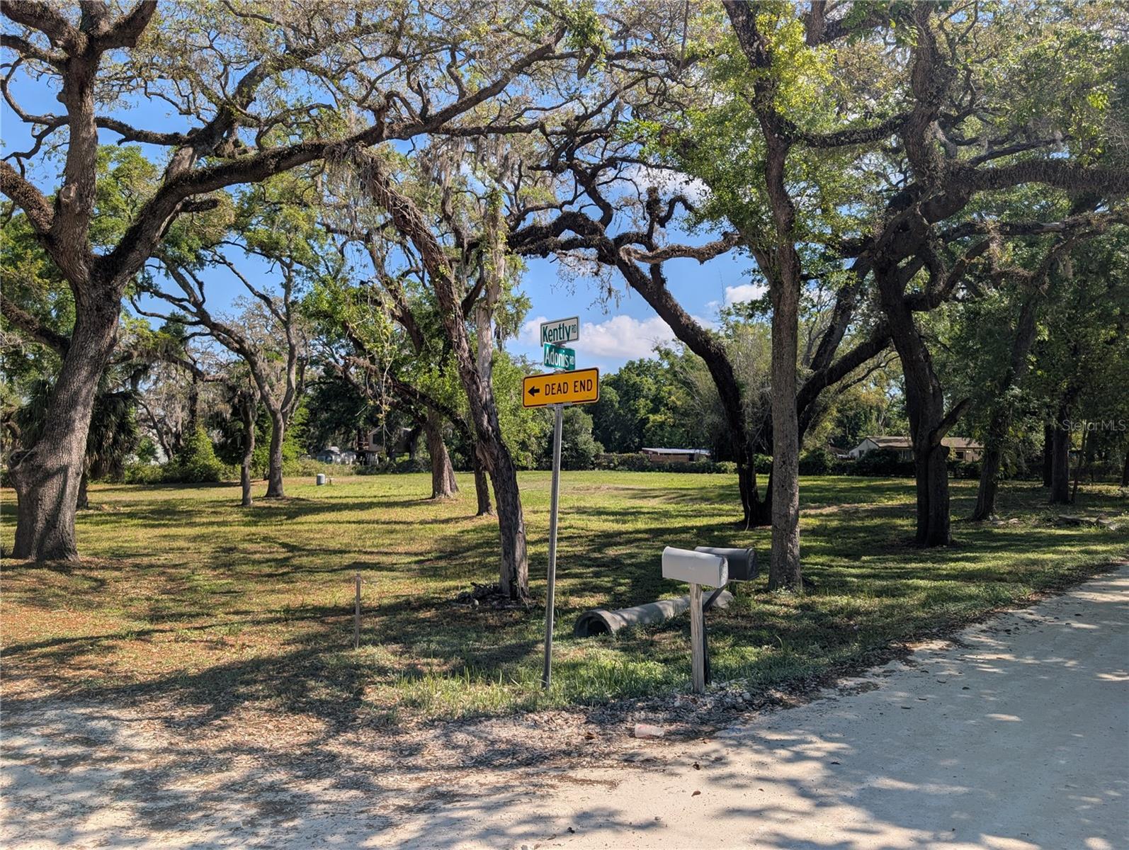 Photo of 8519 ADONIS RD NEW PORT RICHEY FL 34654