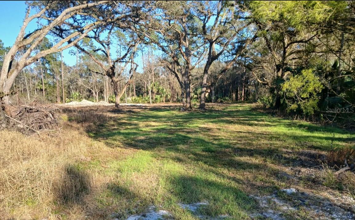 Photo of 1013 CUPID AVENUE CHRISTMAS FL 32709