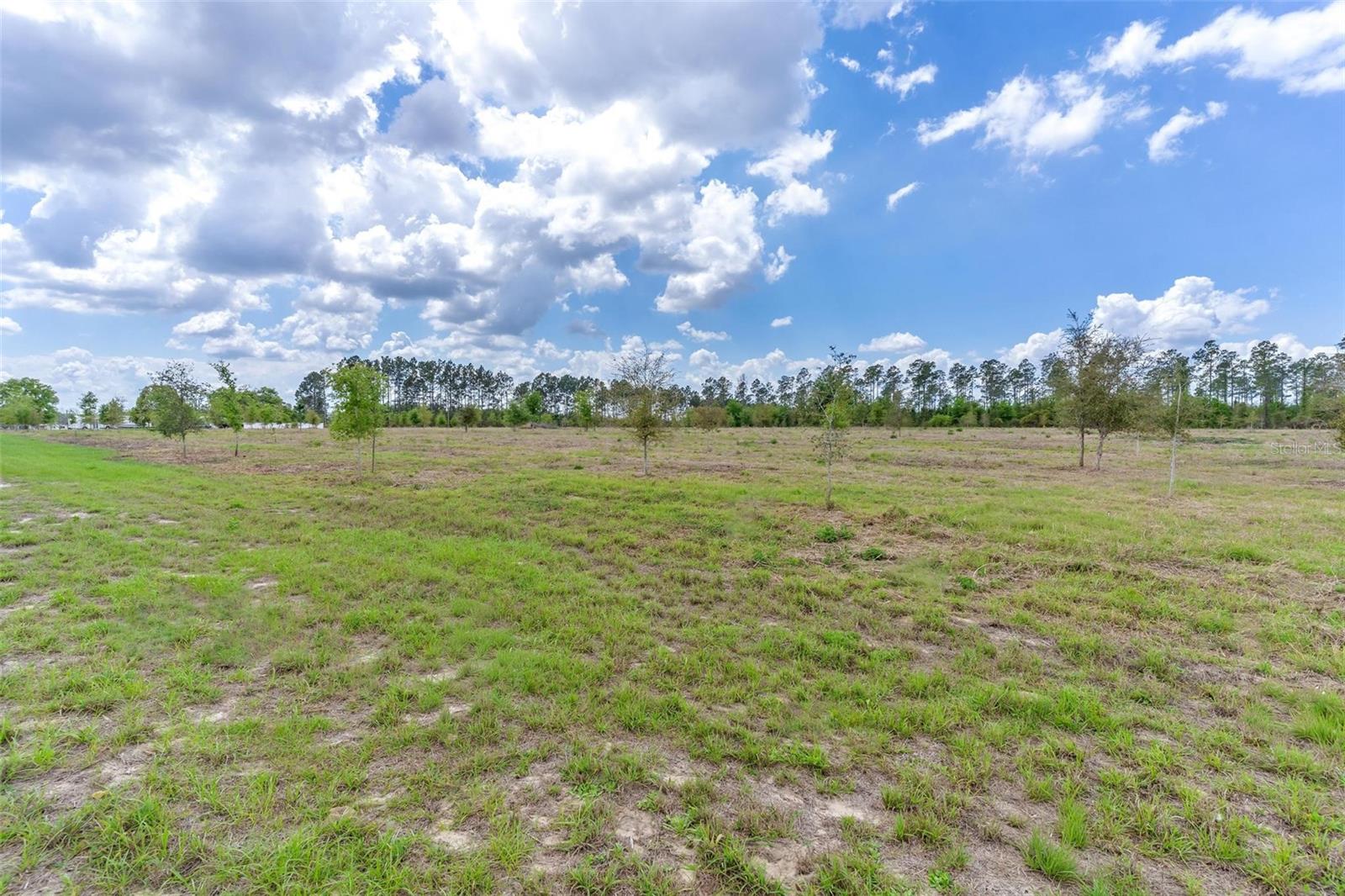 Photo of SE 170TH AVENUE WEIRSDALE FL 32195