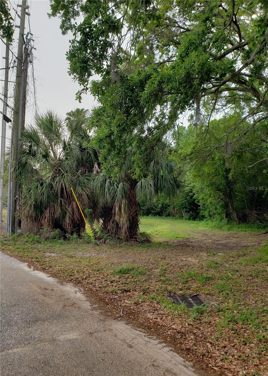 Photo of GROSSE AVENUE TARPON SPRINGS FL 34689