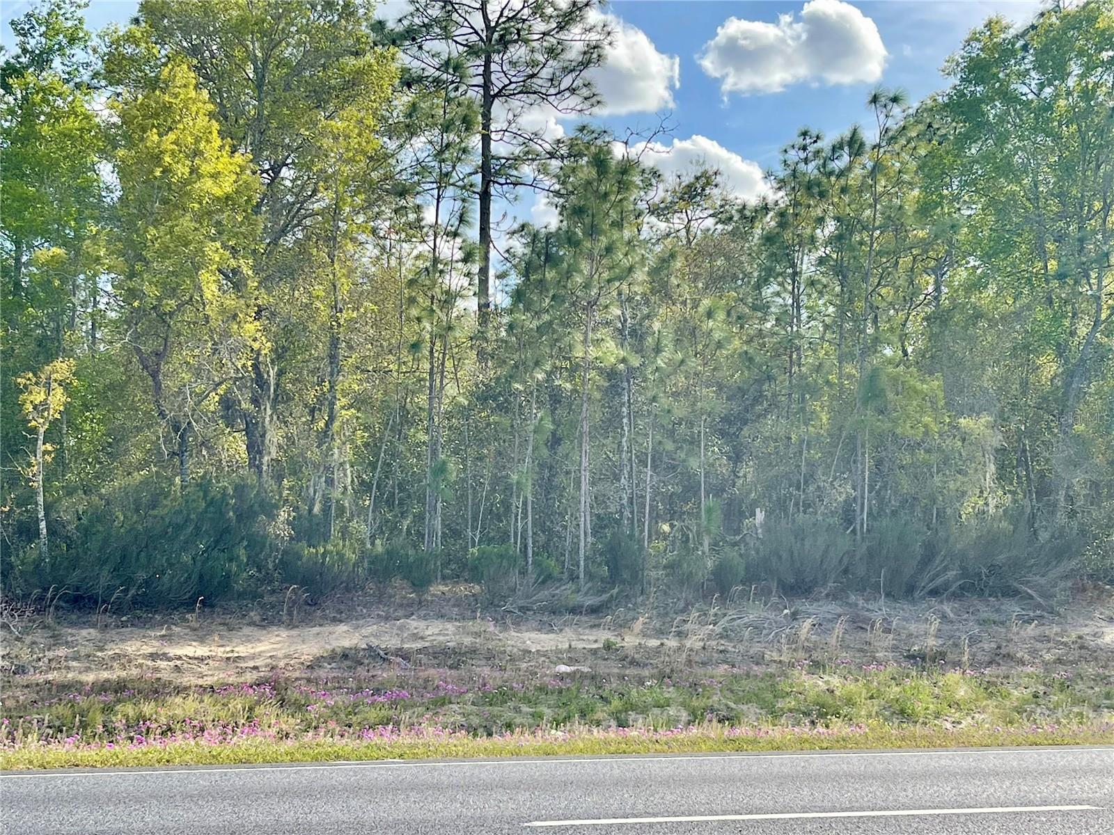 Photo of TBD NE HIGHWAY 27 ALT WILLISTON FL 32696