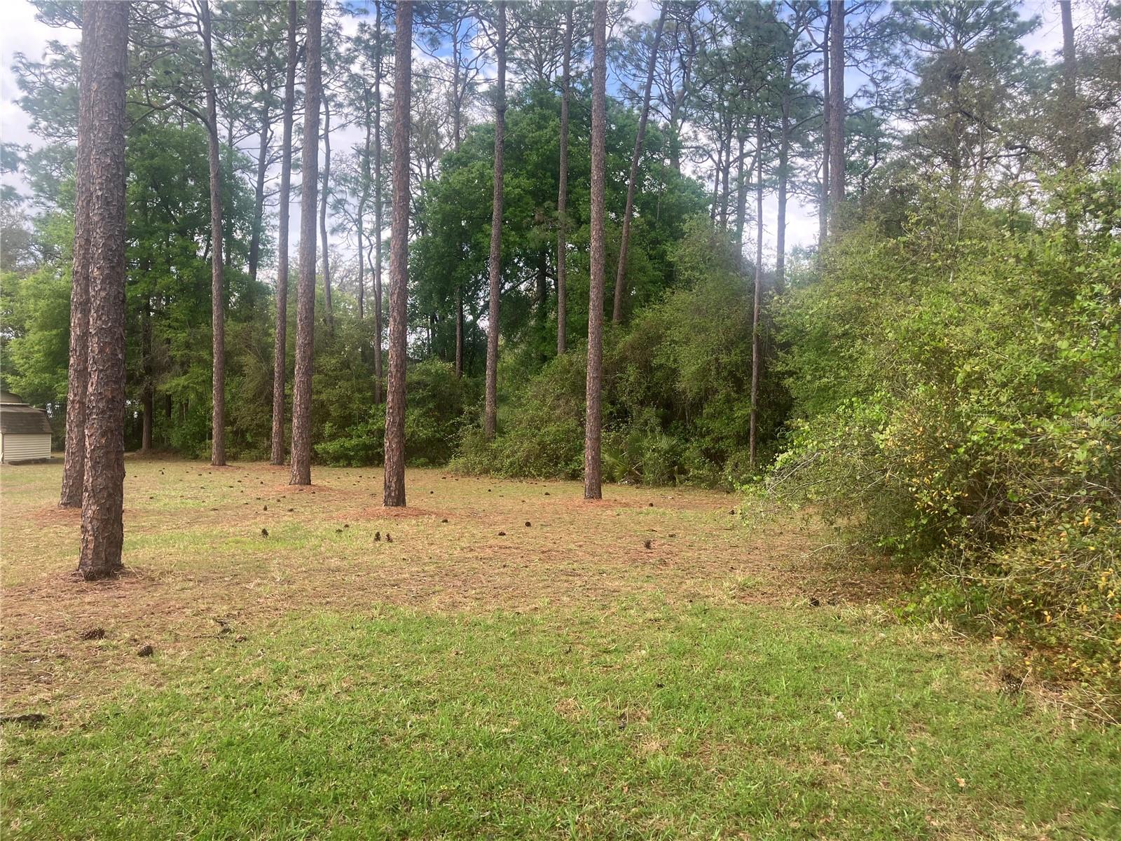 Photo of SE 19TH PL SILVER SPRINGS FL 34488